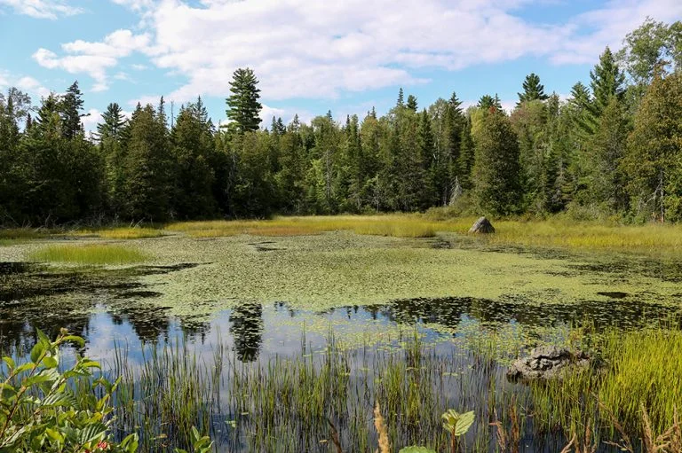narrow-gauge-trail-carrabassett-valley-pond-western-maine-768x511.jpg