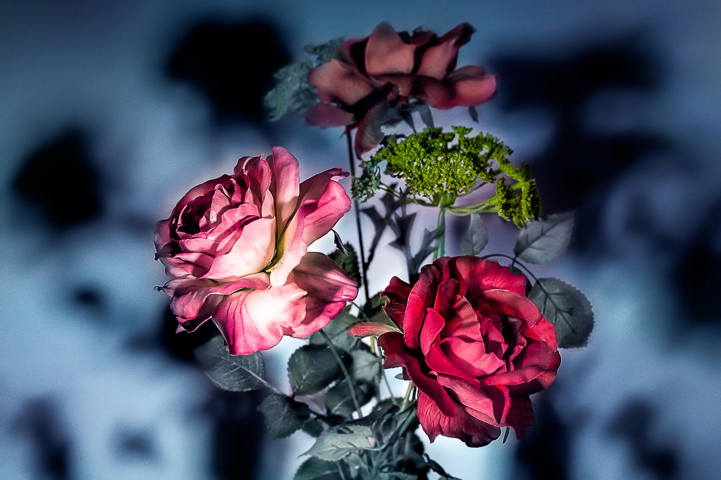 The Flowers In The Shadows