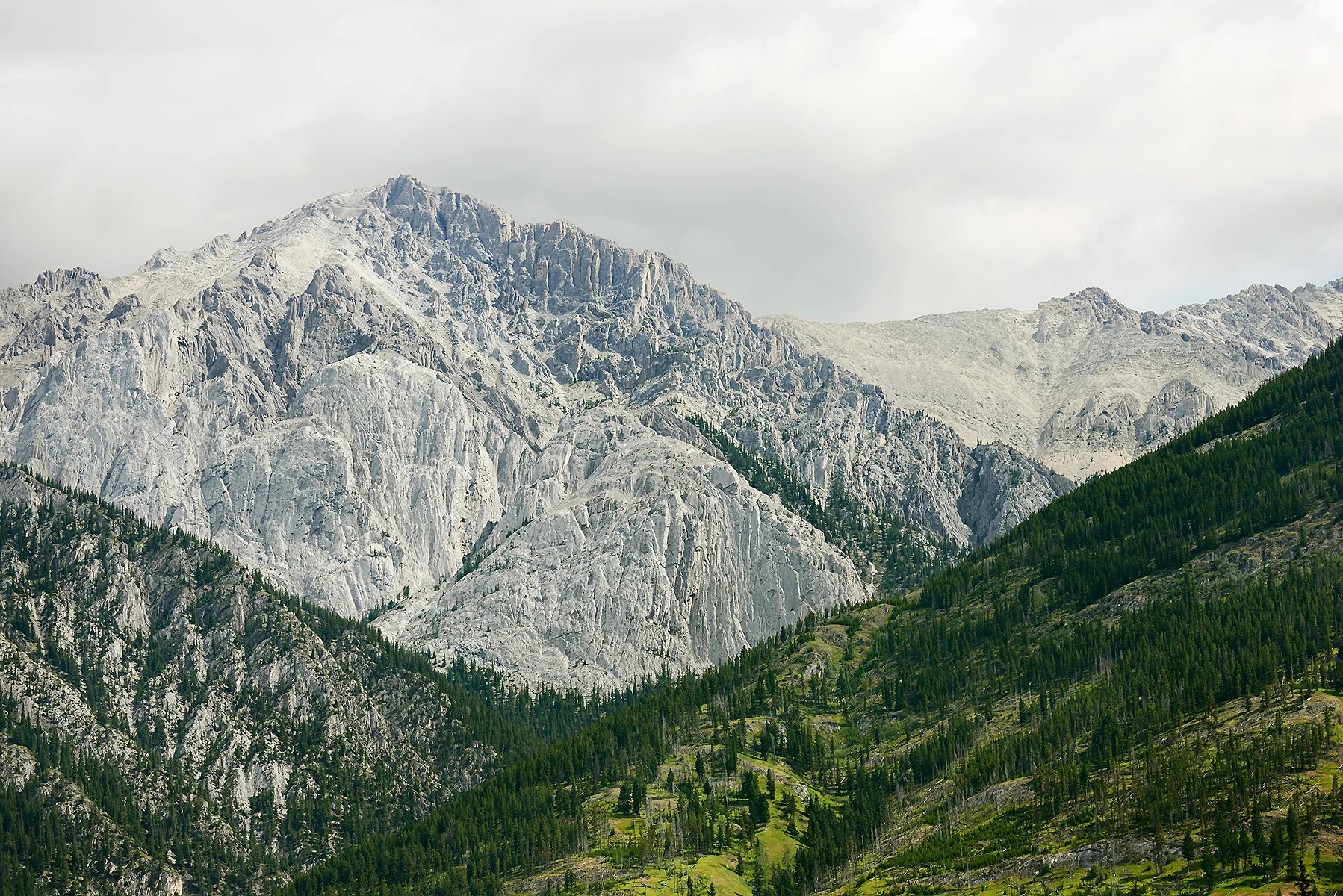 140804_Alberta_012.jpg