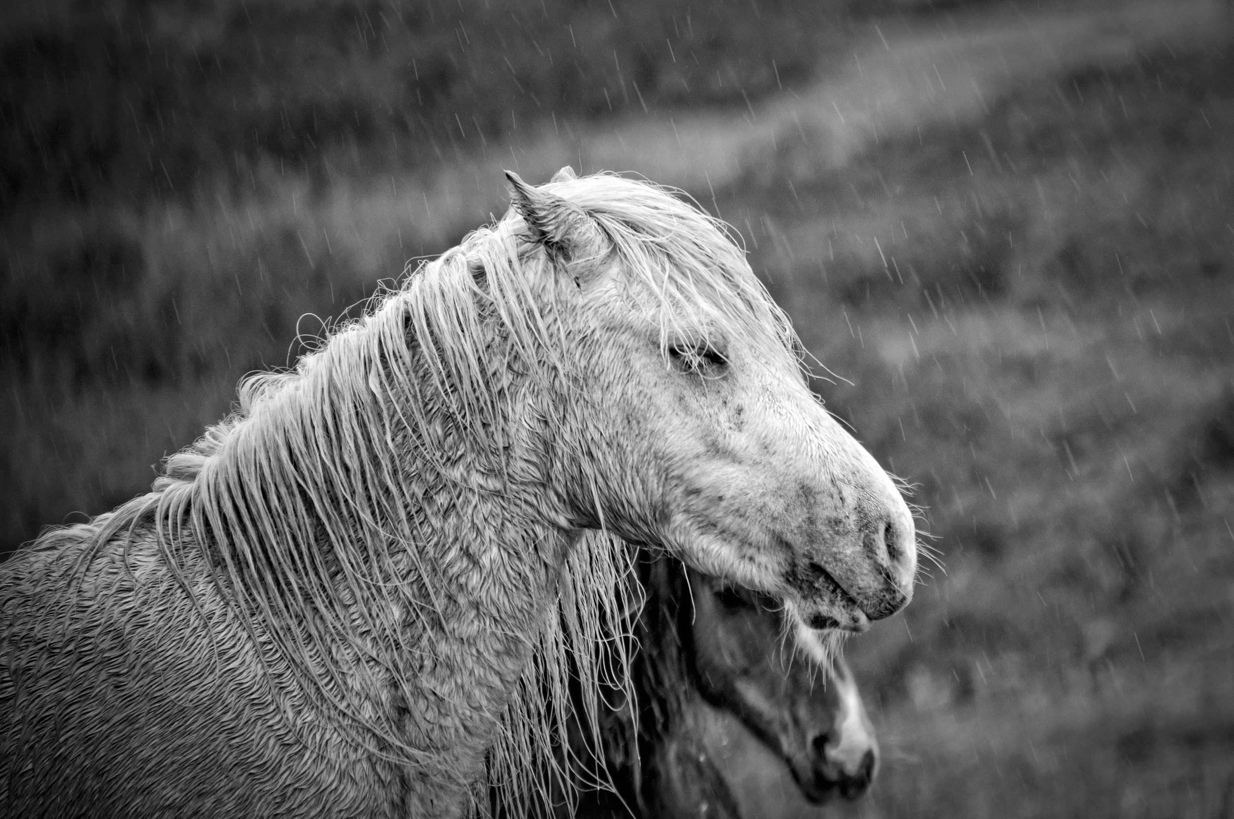 _DSC5534-Edit.jpg