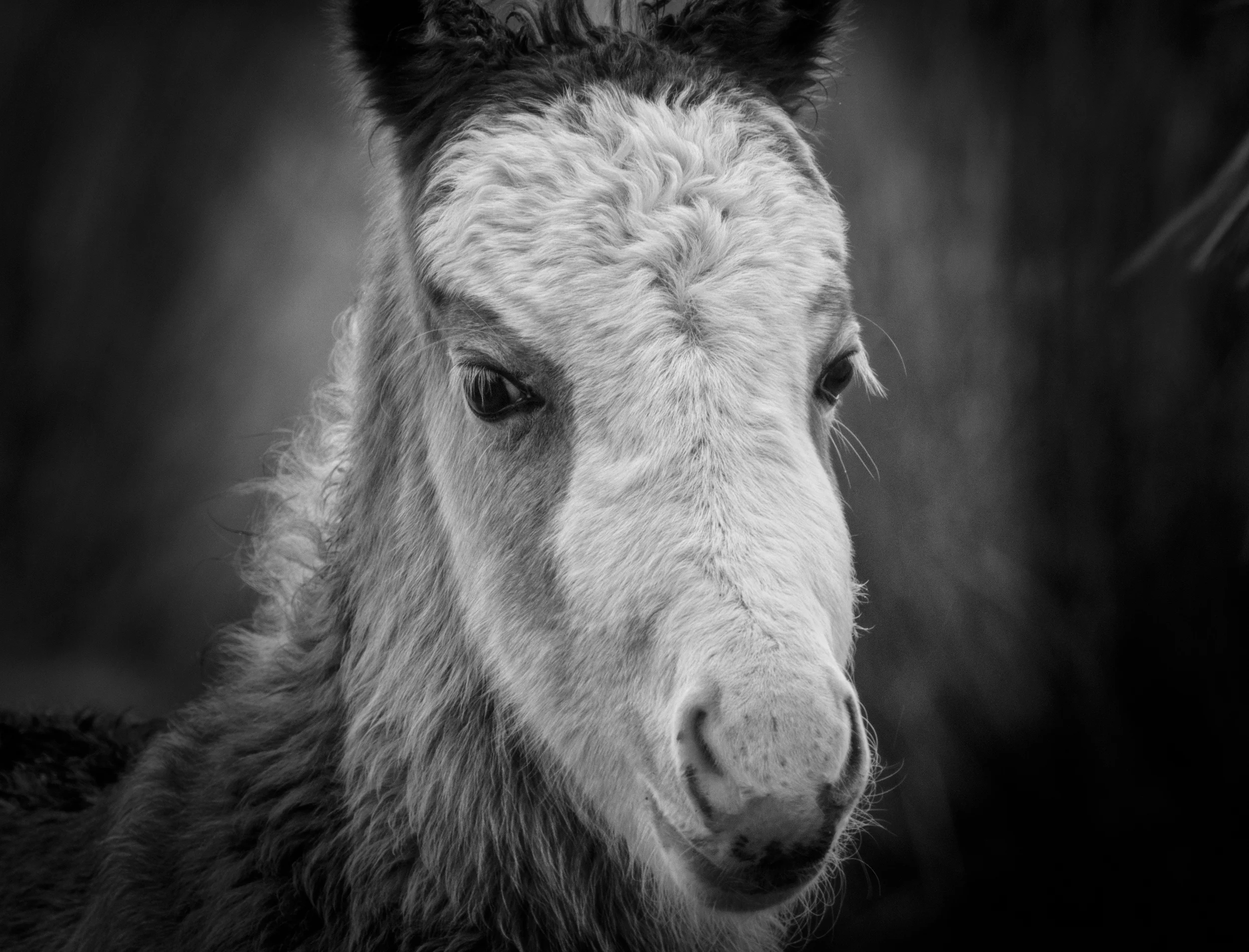 _DSC5022-Edit-Edit.jpg