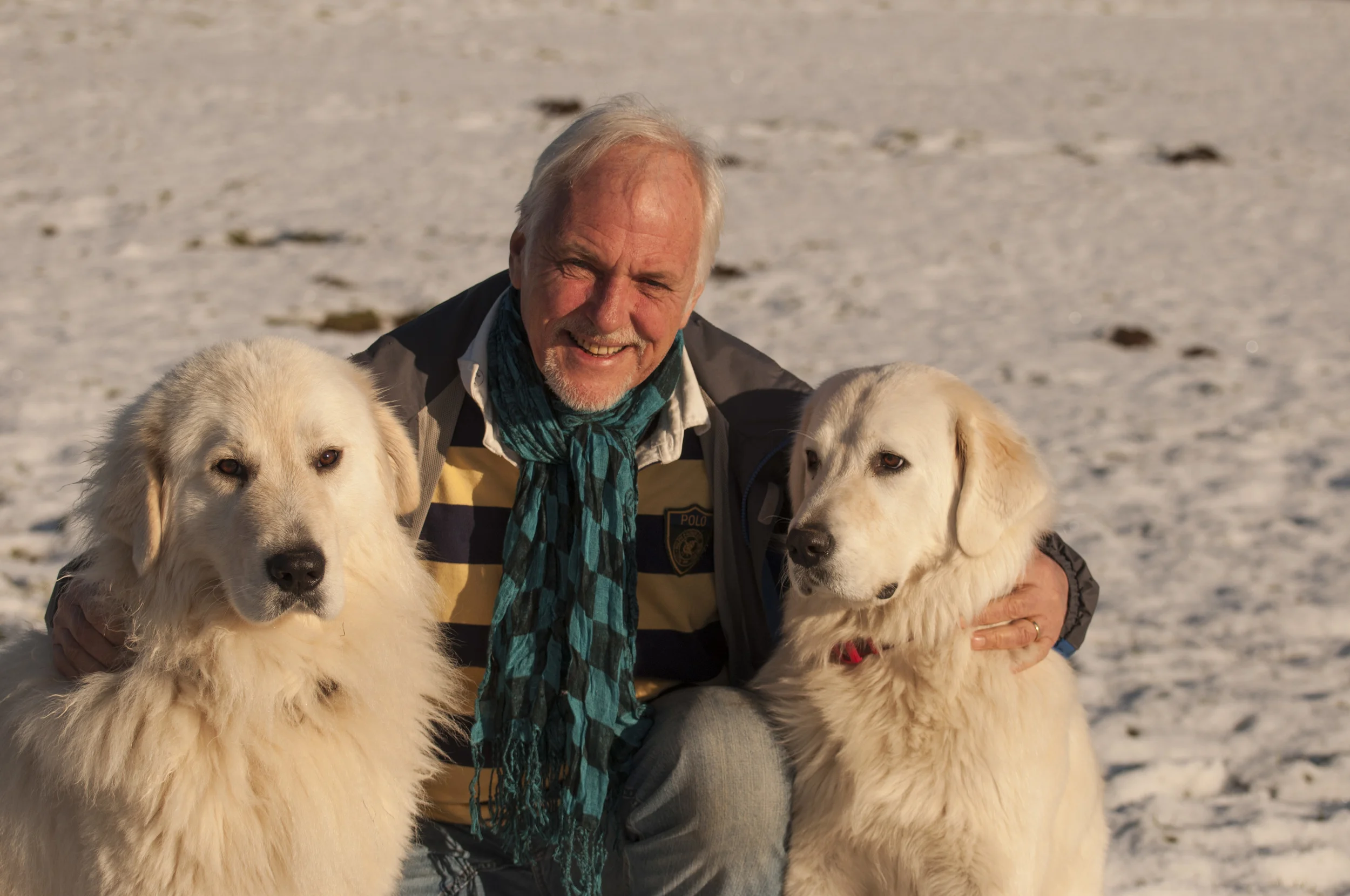 Lucca on the left. The male tends to have a wider head than the female