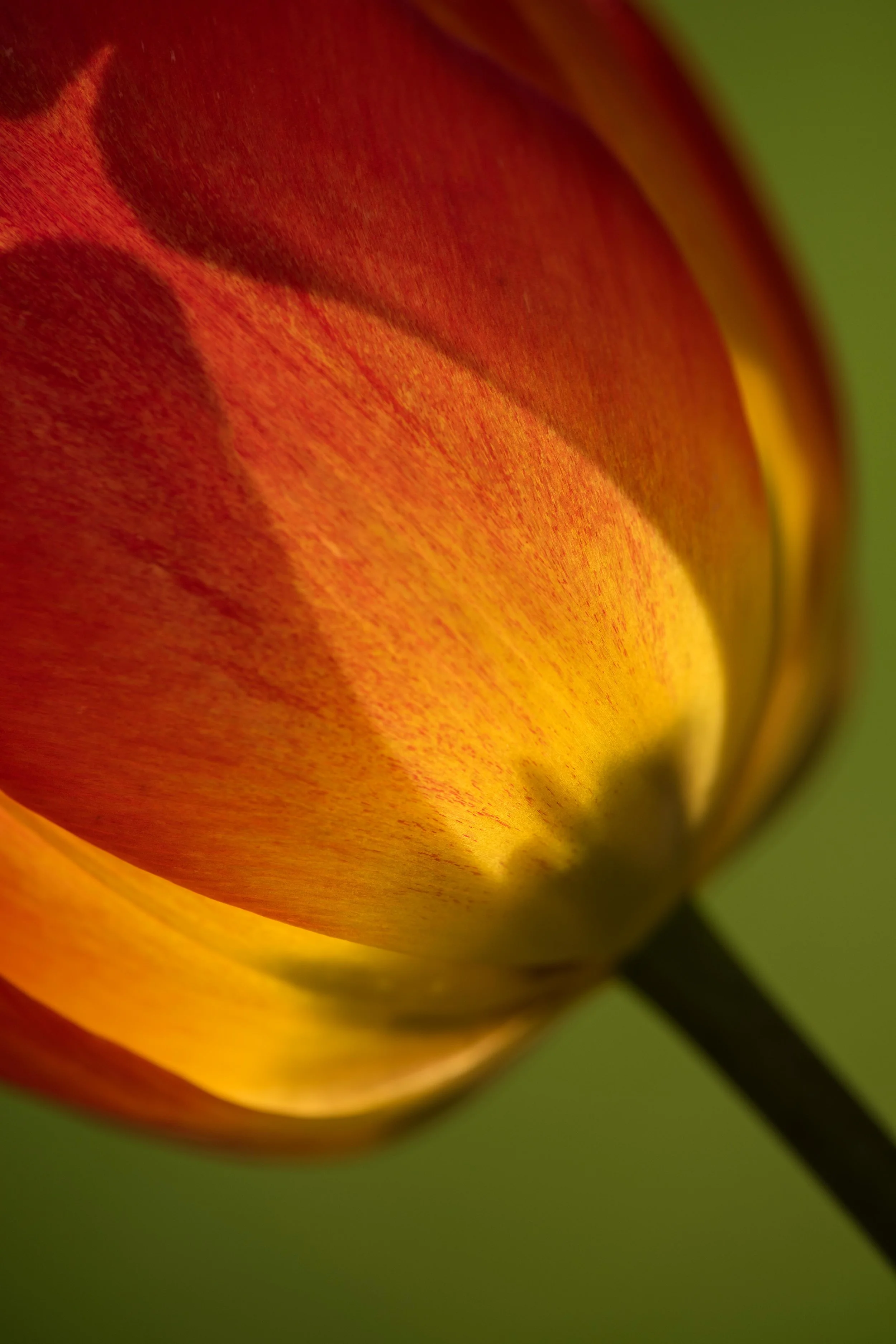 -1705_untitled_031-Edit.jpg
