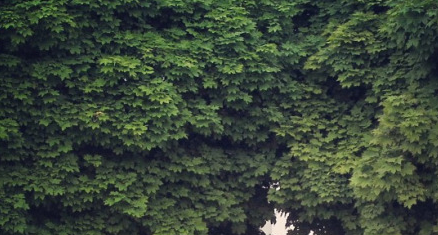 Screen Shot 2015-05-11 at 1.37.46 PM.png