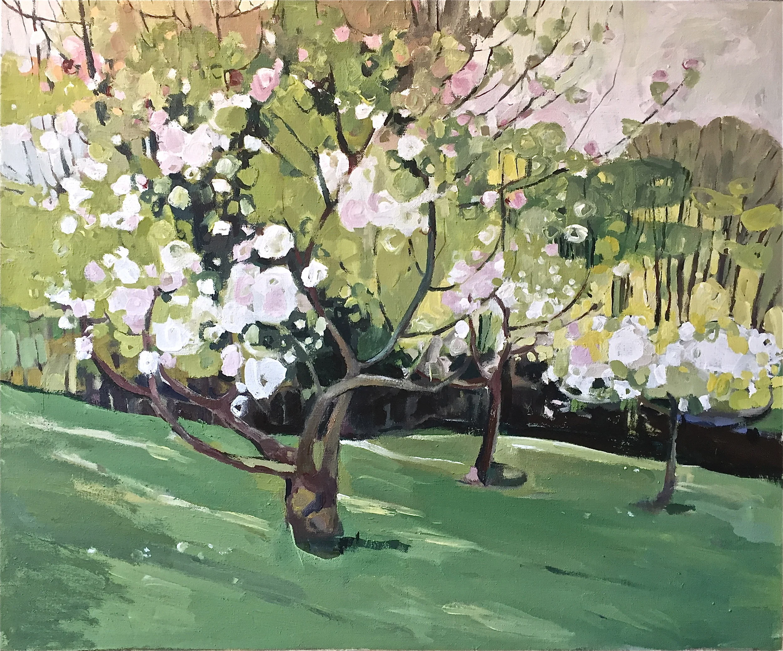 Apple Blossom by the Dell