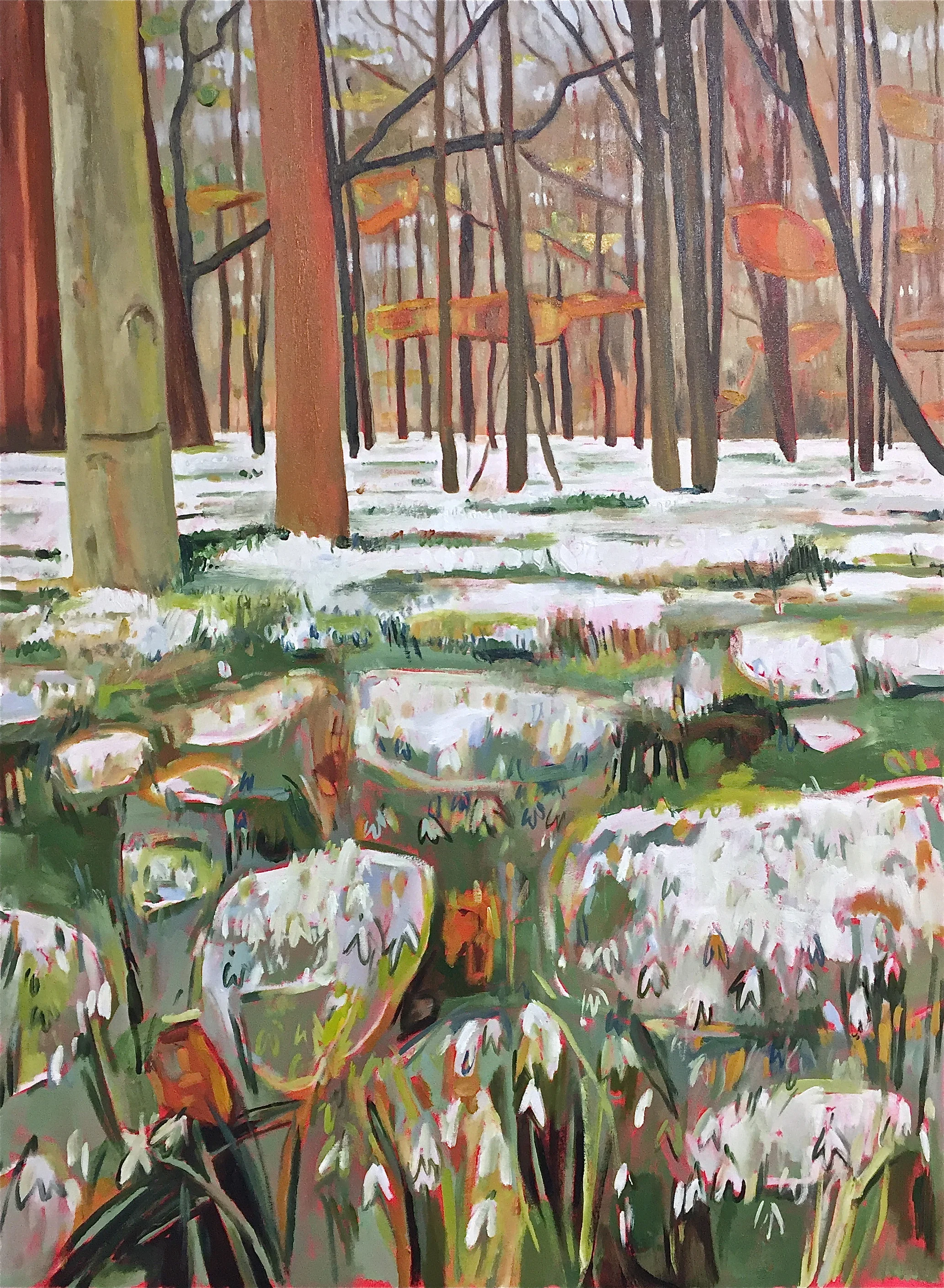 Drifts of Snowdrops