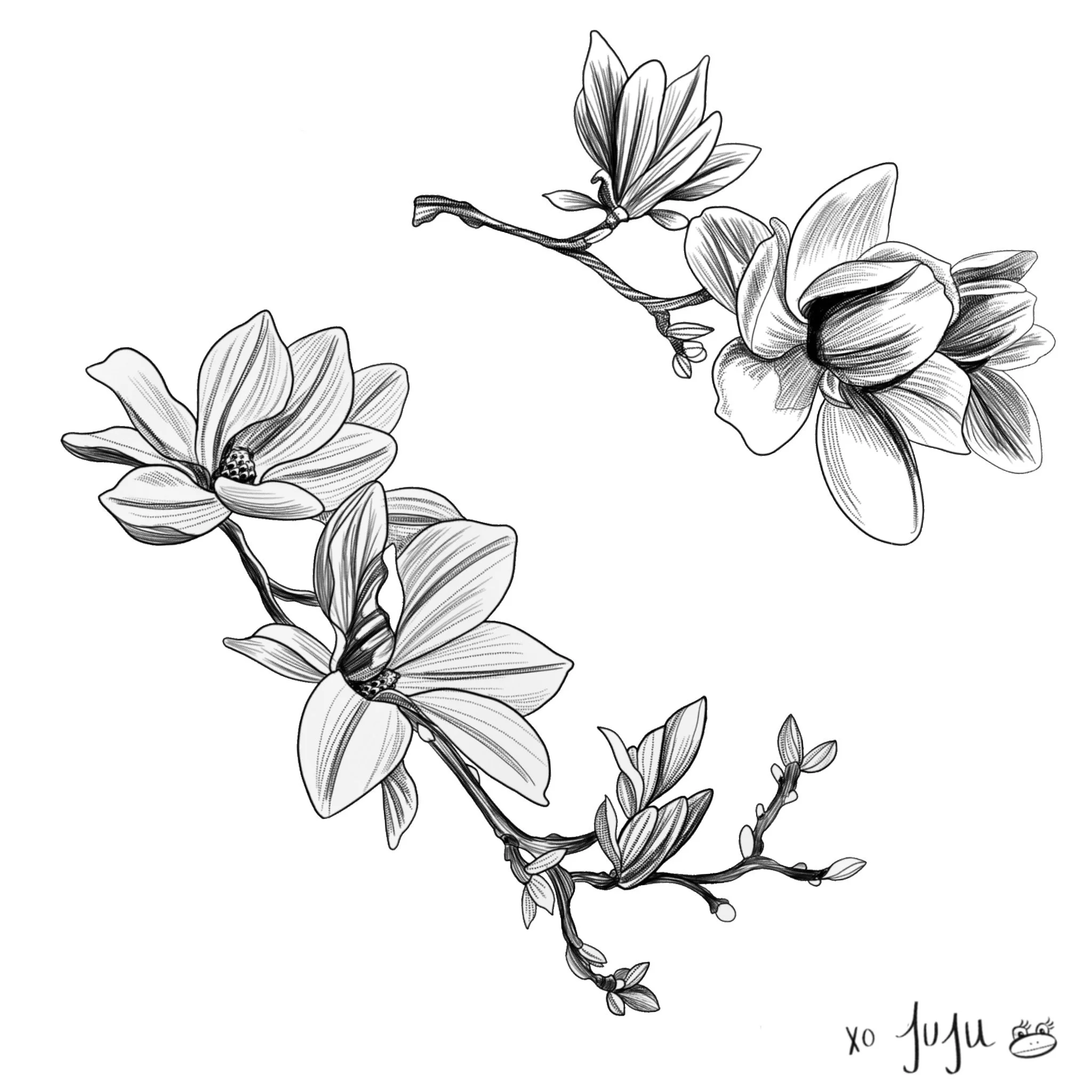 Untitled_Artwork 2.jpeg