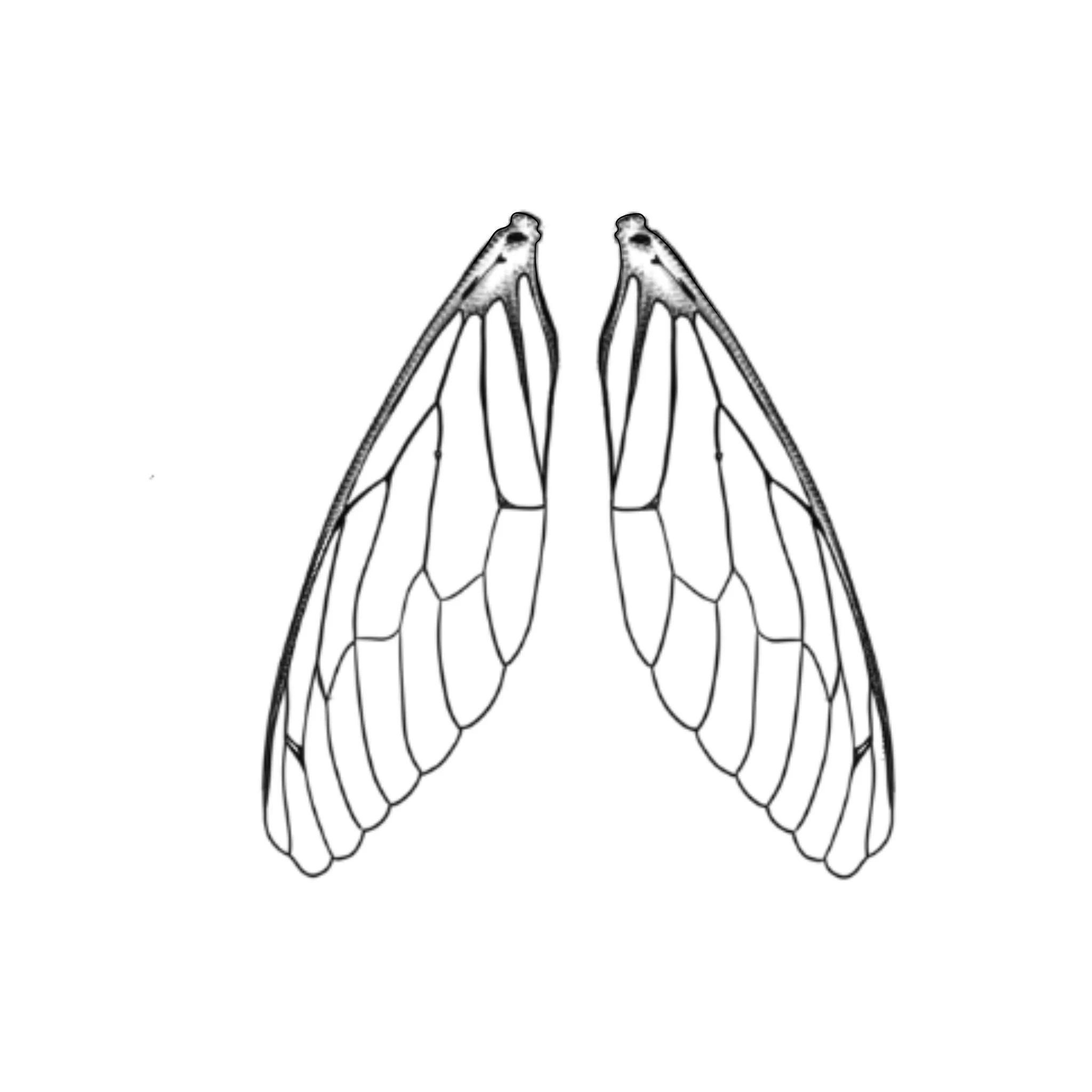 Untitled_Artwork 4.jpeg