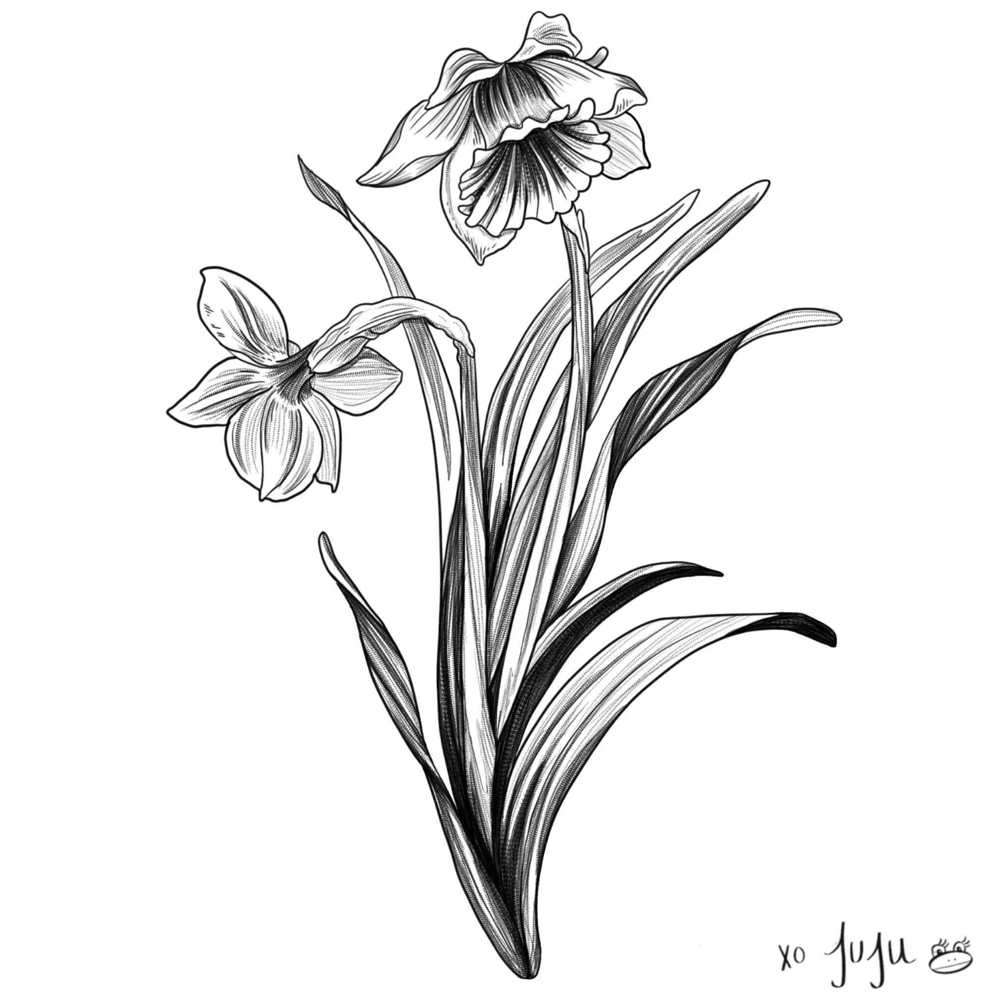 Untitled_Artwork 3.jpeg