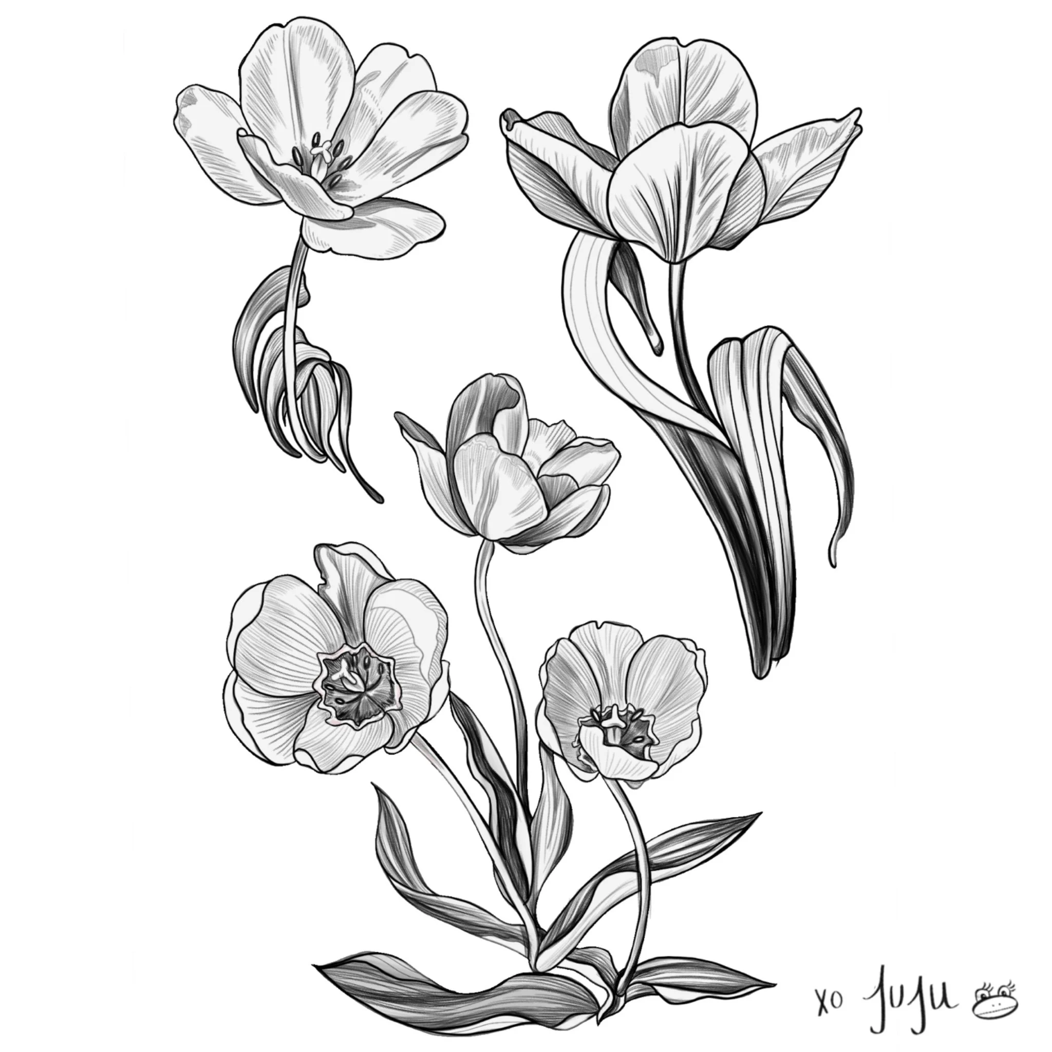 Untitled_Artwork 1.jpeg