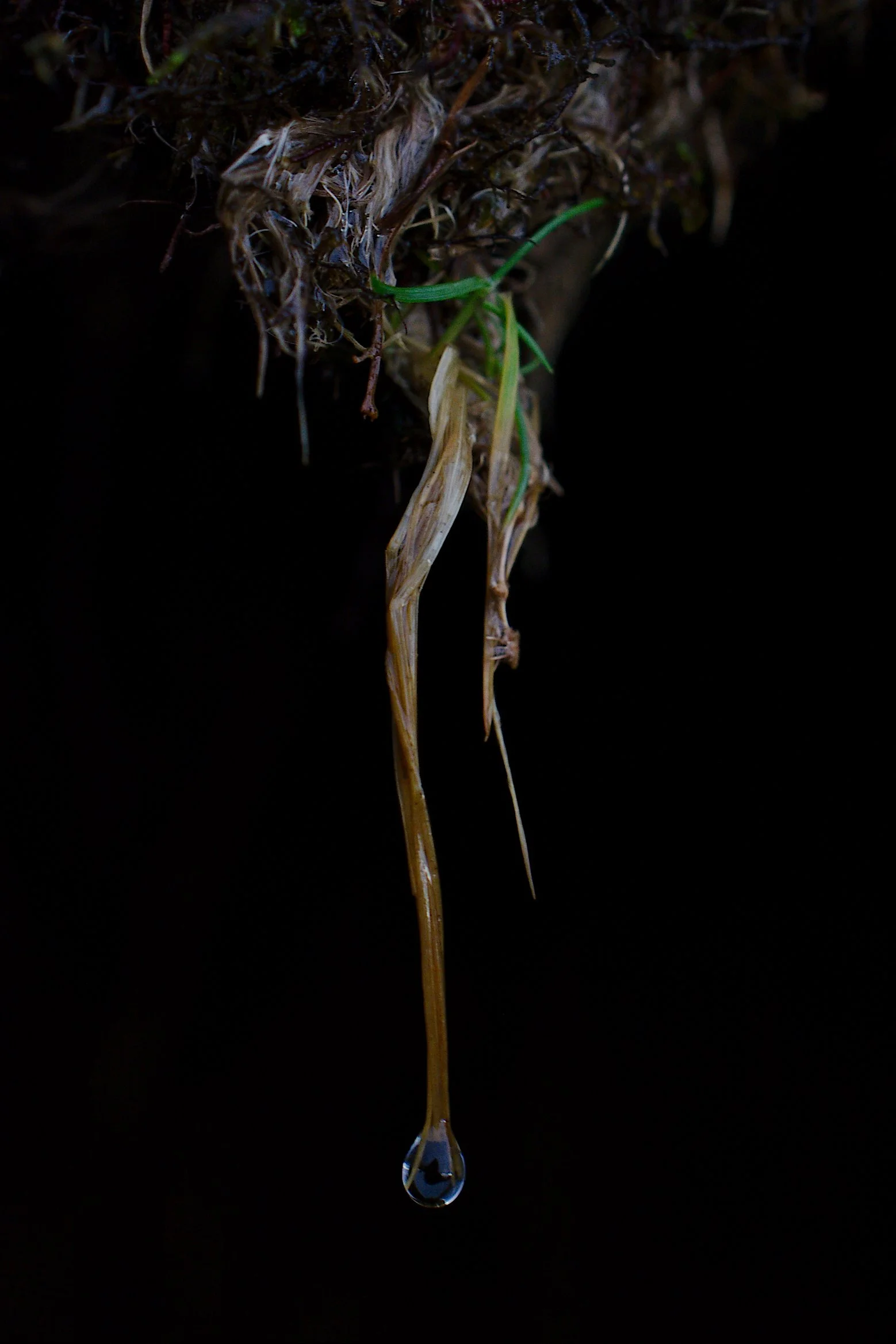 DSC_8260.jpg