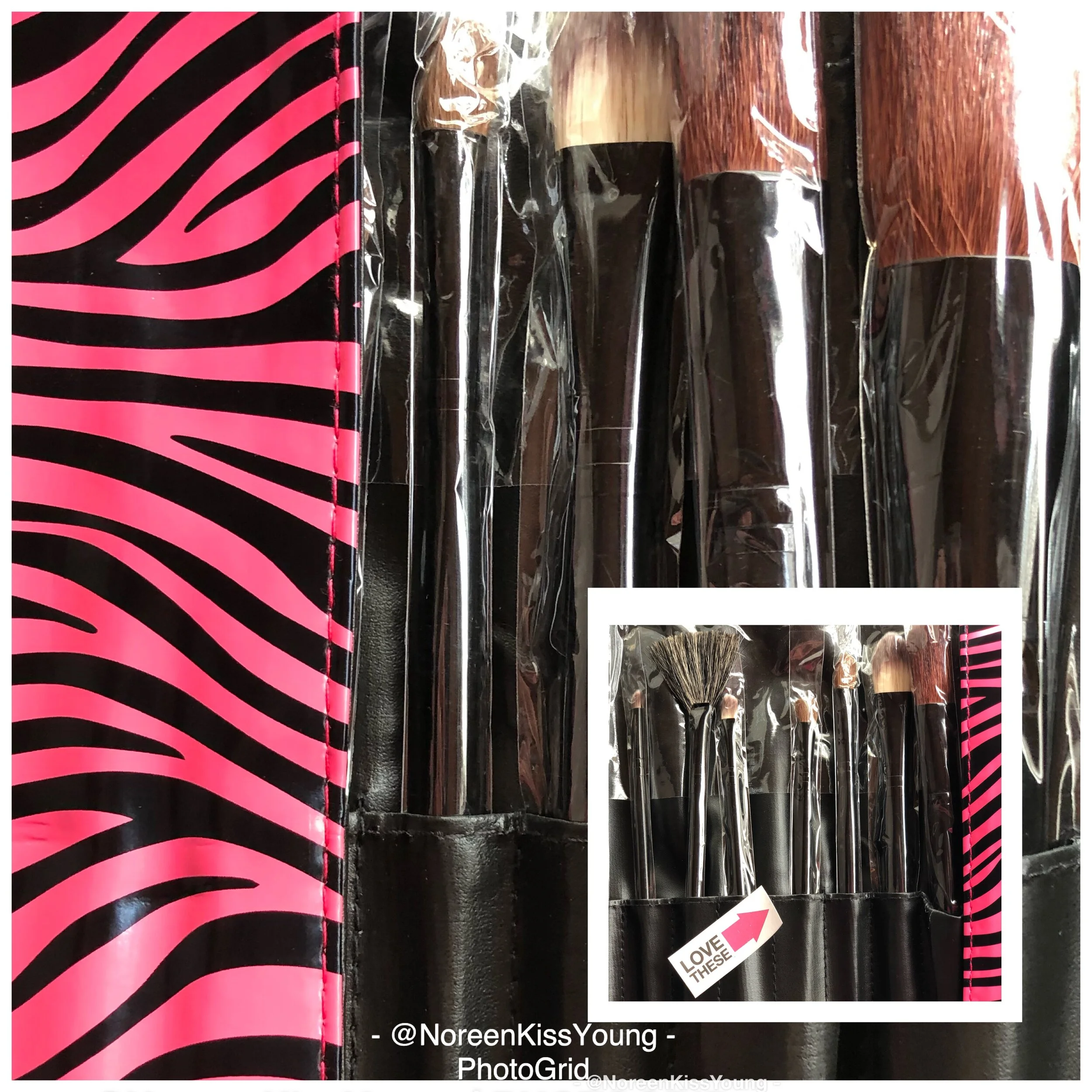 Zebra & Pink Brush set.JPG