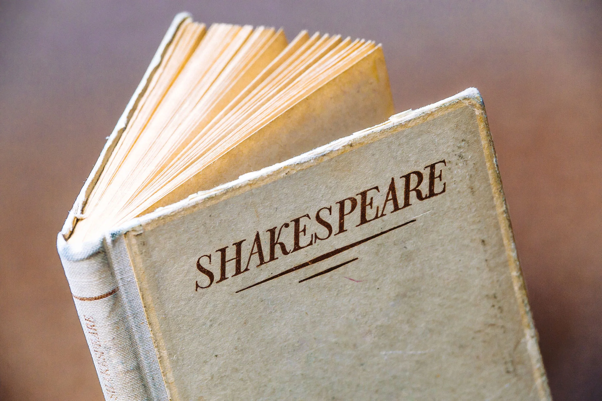 Sharing Shakespeare with homeless brings out 'best selves'