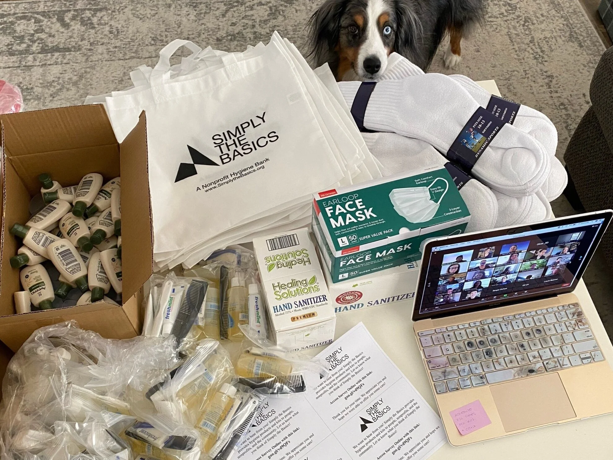 Steinberg Hart’s Justice, Equity, Diversity &amp; Inclusivity group is sculpting real change