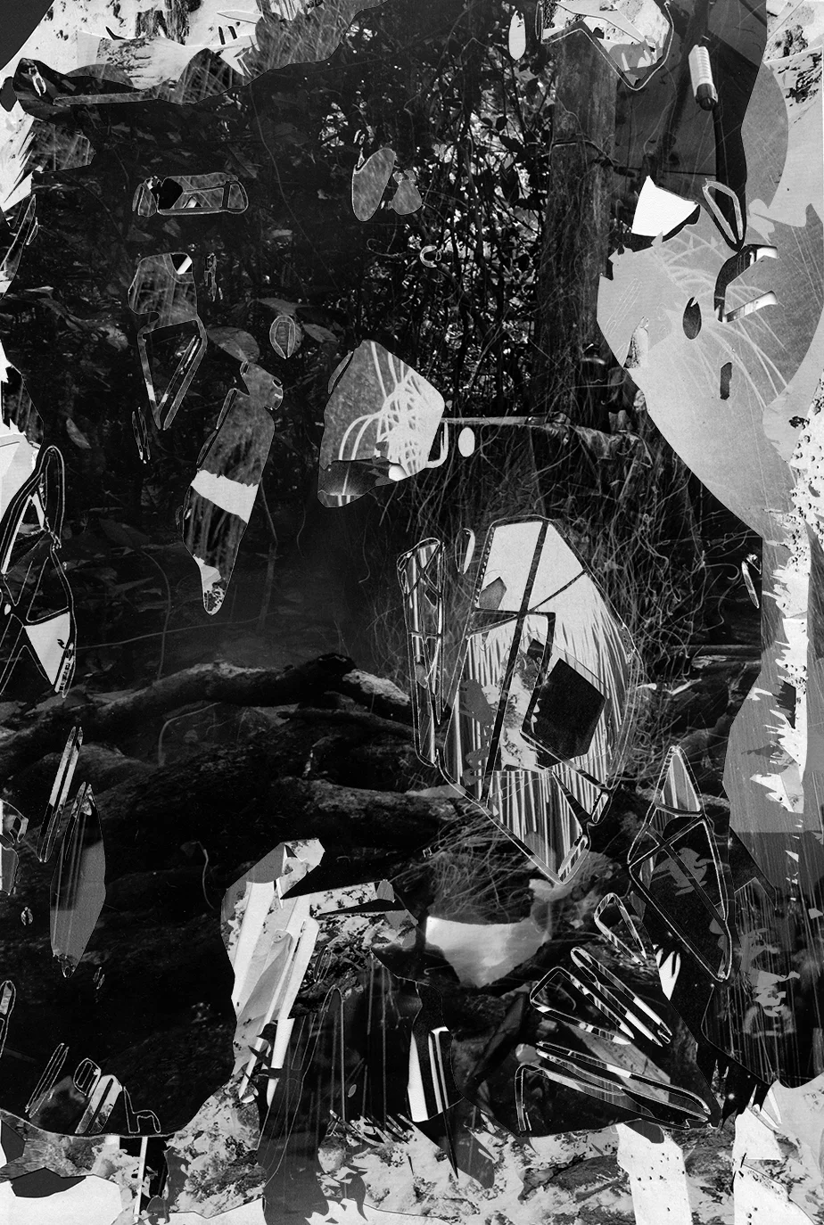 Beginning, inkjet print, 24"x36", 2013.