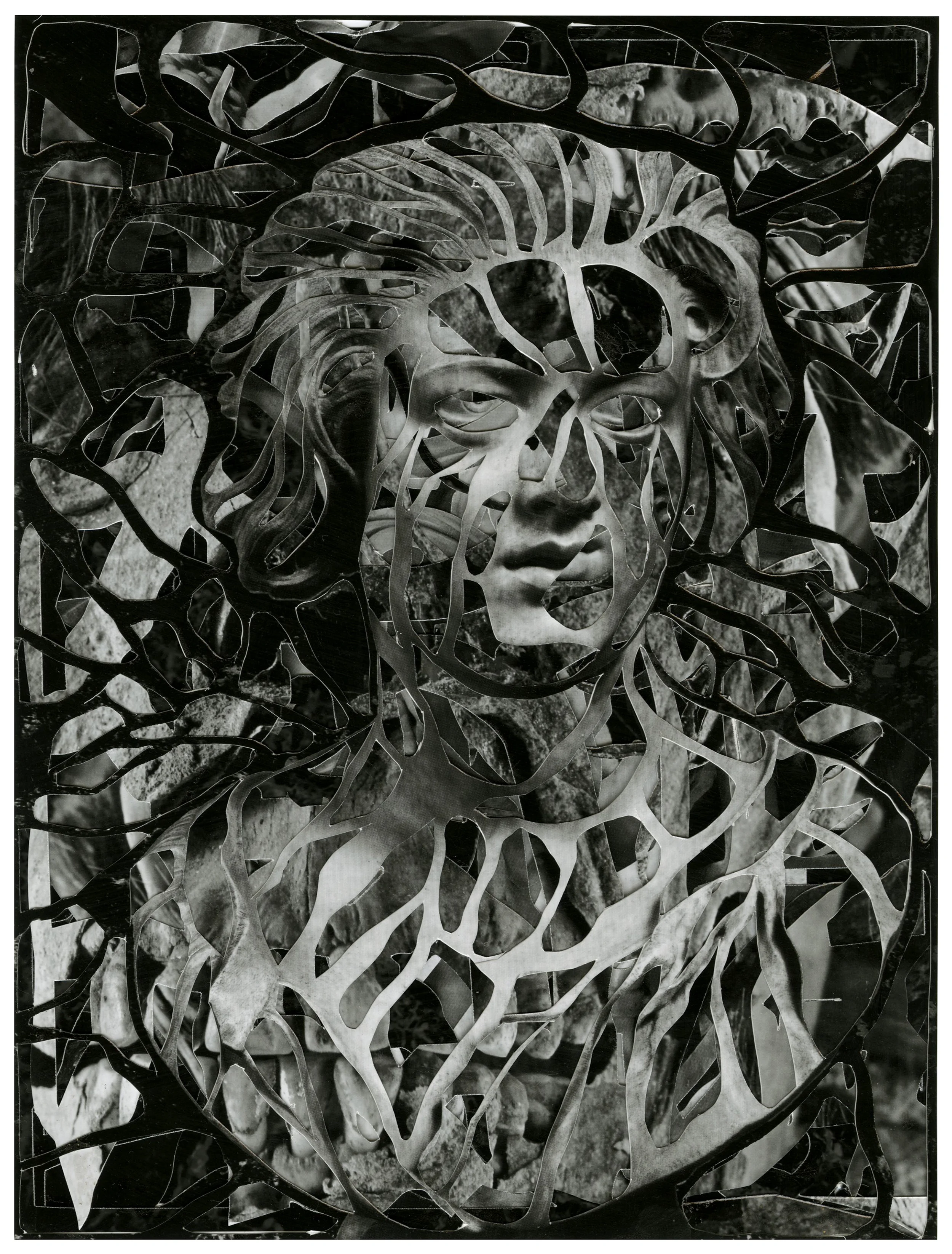 Demise, decollage of inkjet print, 8.25"x11.25", 2014.