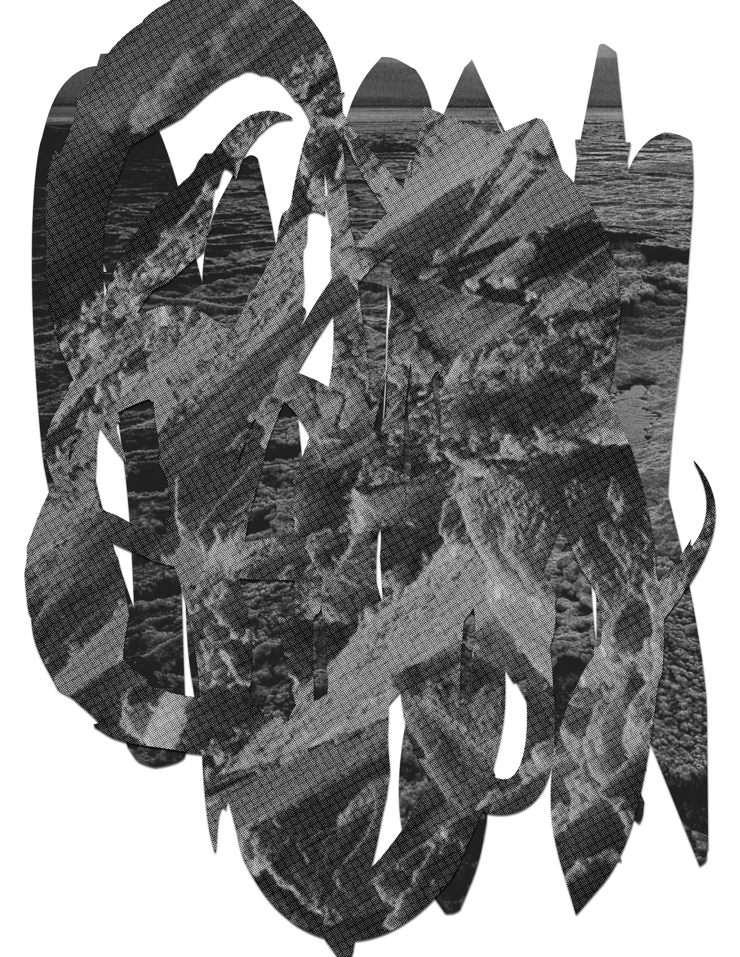 Scralled II, 8"x10", collage, 2015.