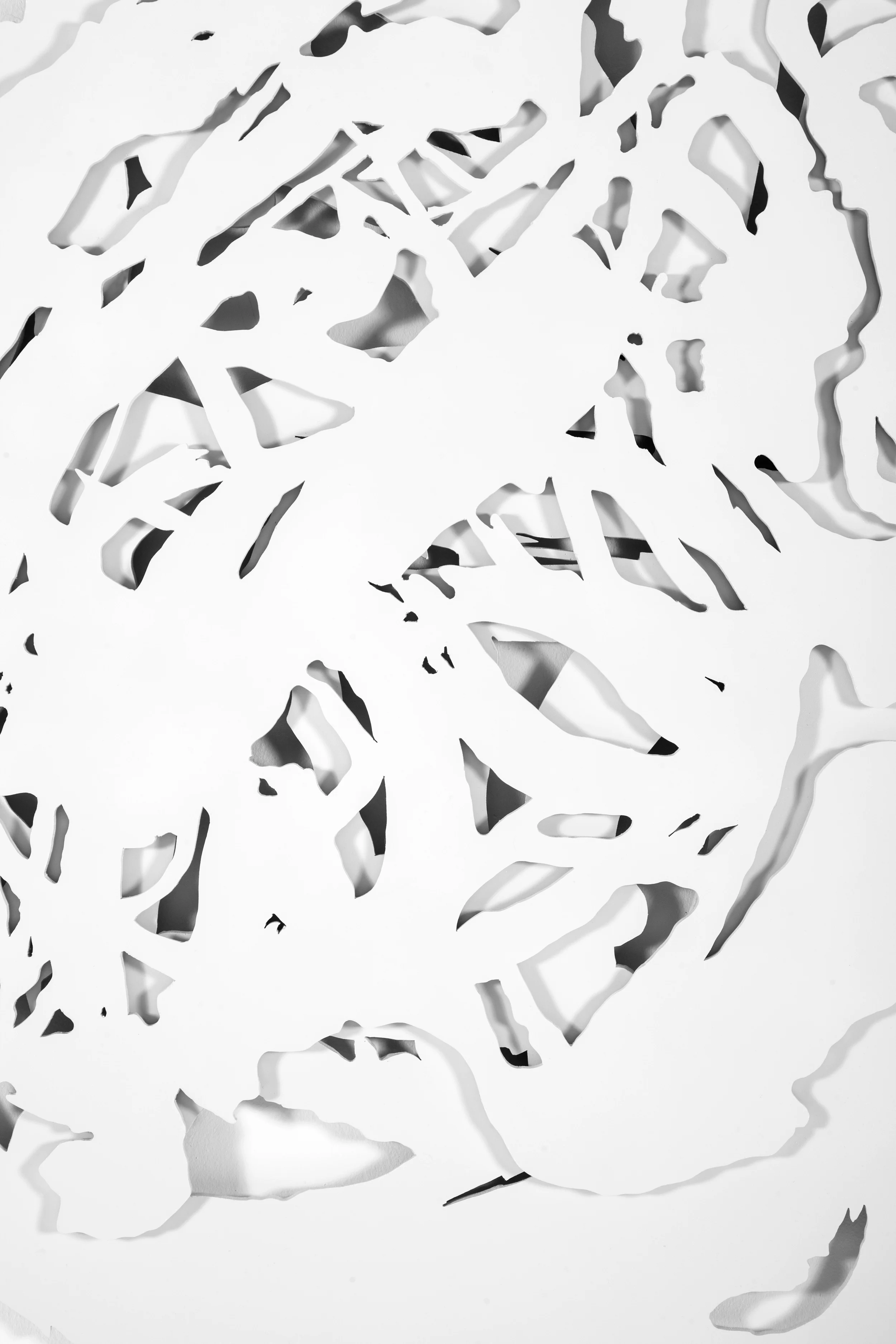 Cutout.detailbright.jpg