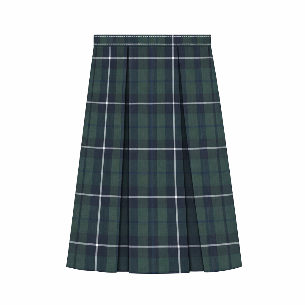Plaid skirt transfor.png