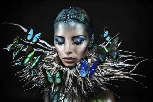Butterfly Delight