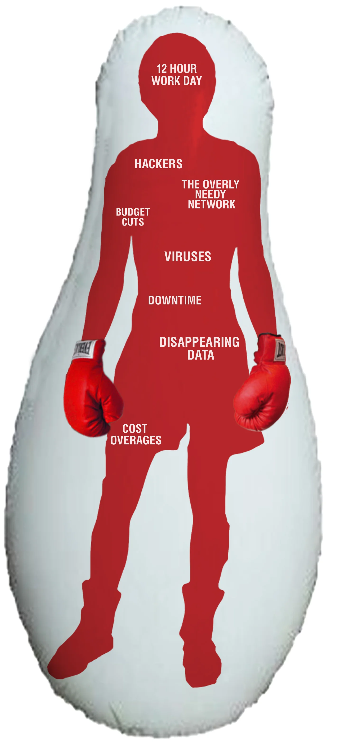 IBM.3sparring partner.jpg