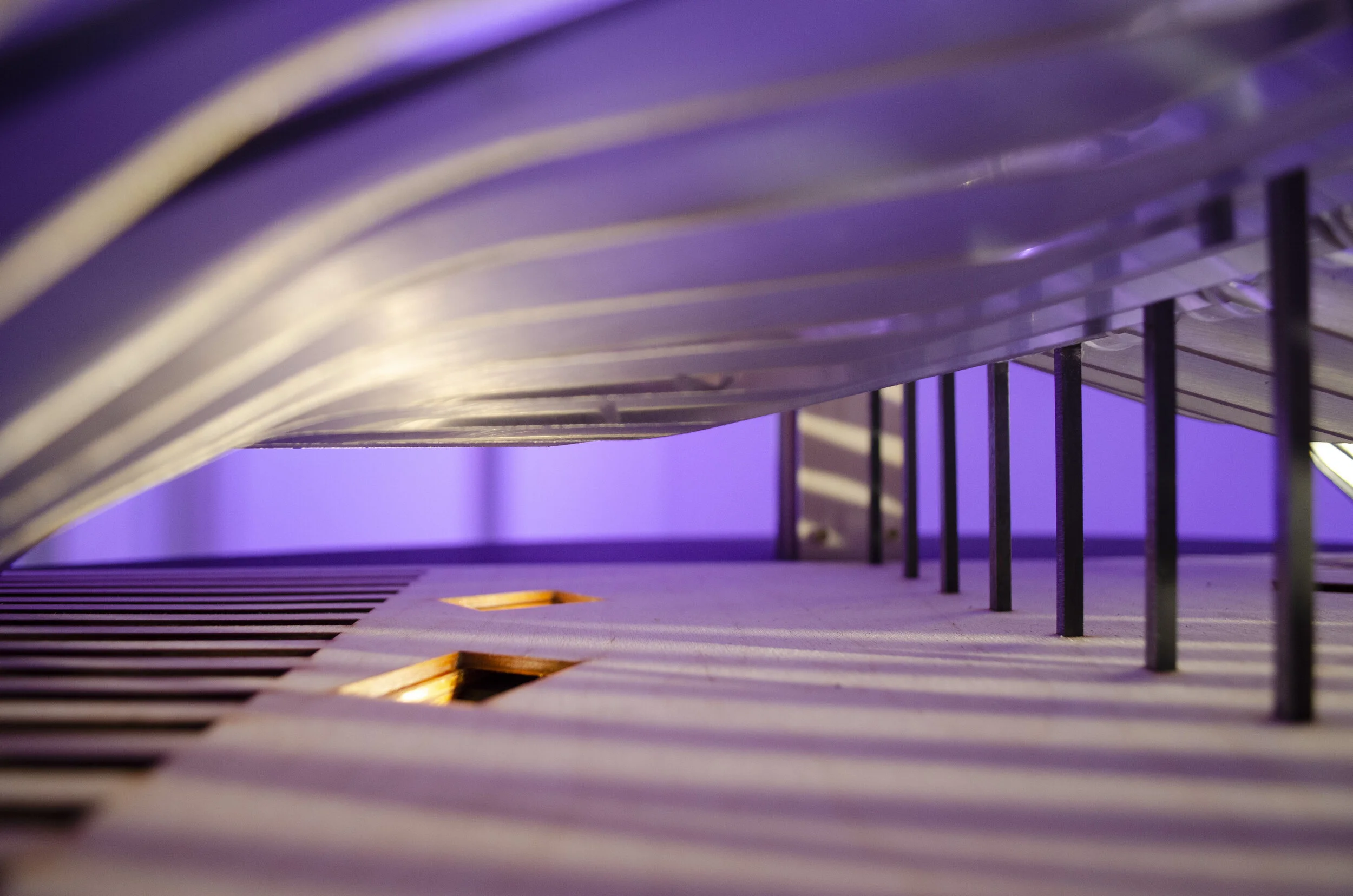 collaboration with Saria Ghaziri