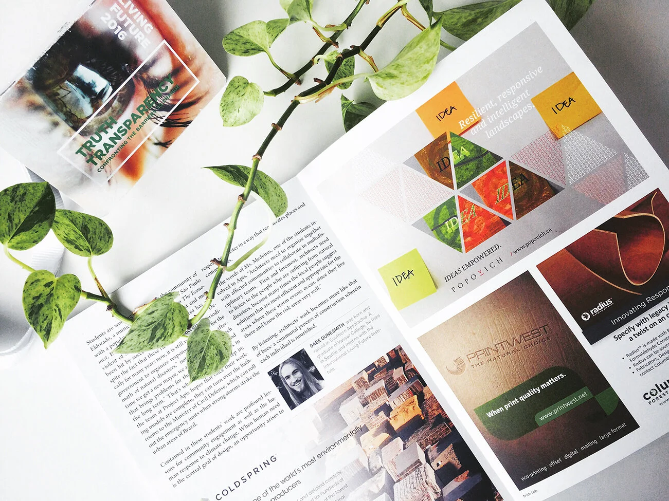 for Popovich Associates