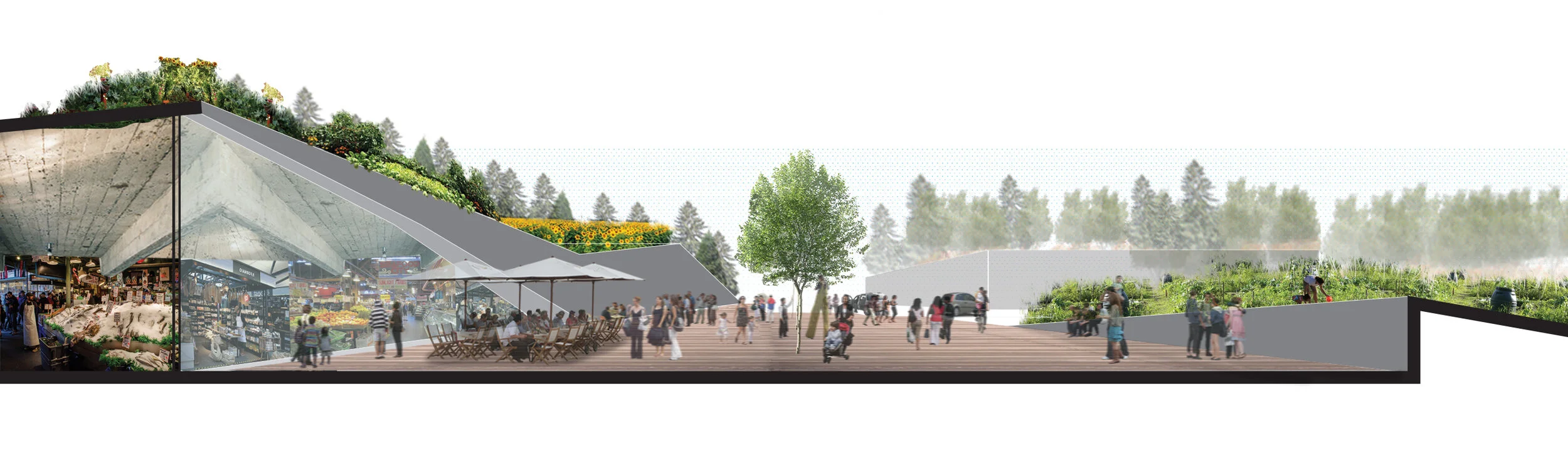 Popovich Associates. Role: Design Conceptualization, Presentation, Graphical Production