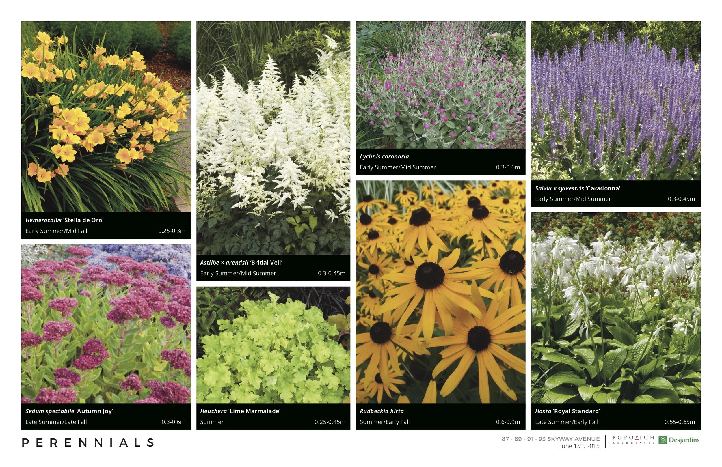 1247 160615 Master Planting + Design Palette2.jpg