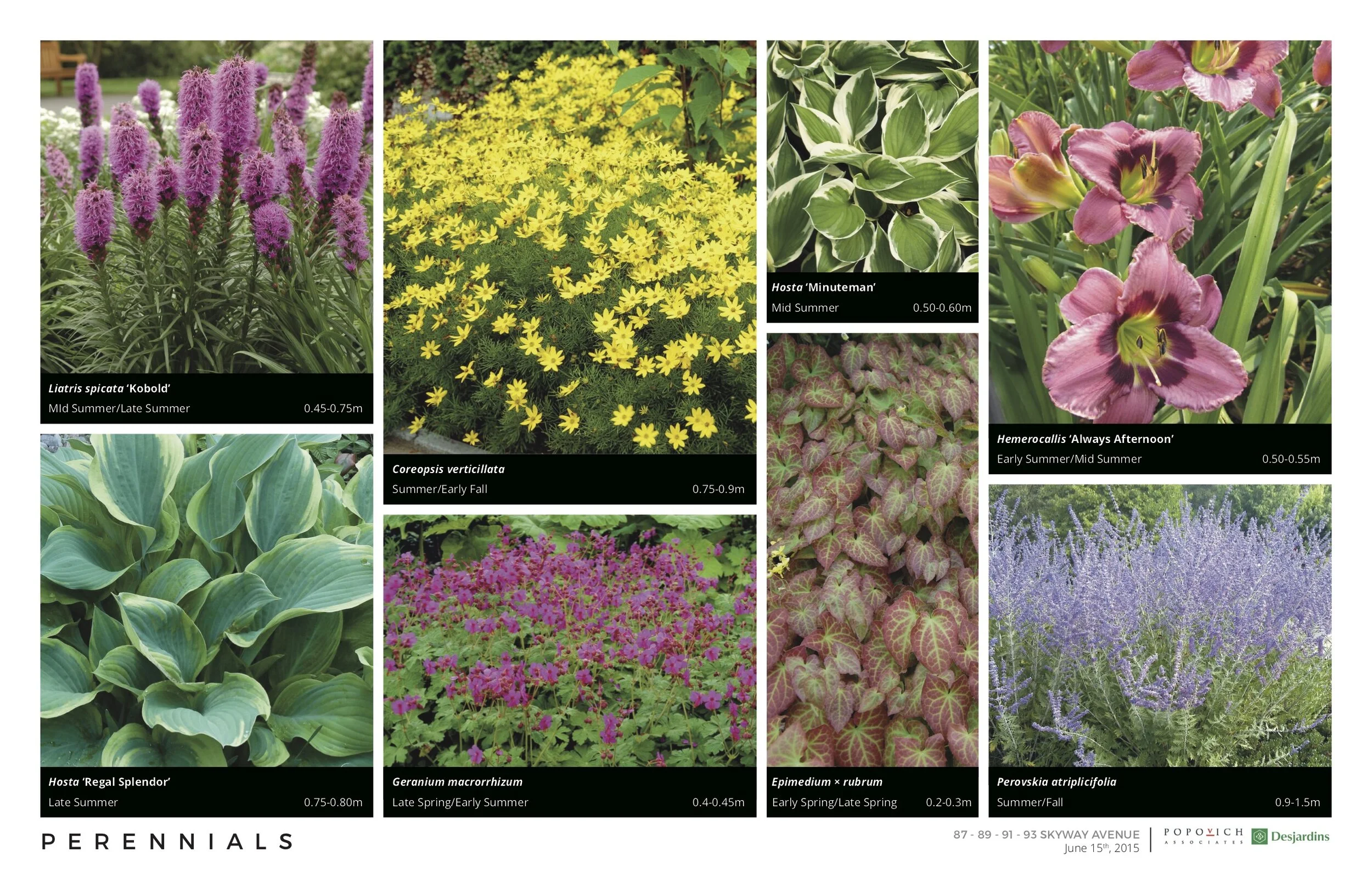 1247 160615 Master Planting + Design Palette3.jpg