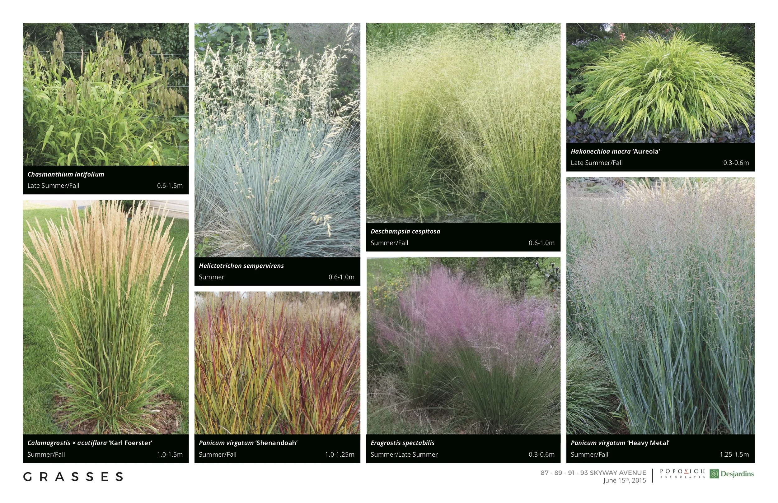 1247 160615 Master Planting + Design Palette4.jpg