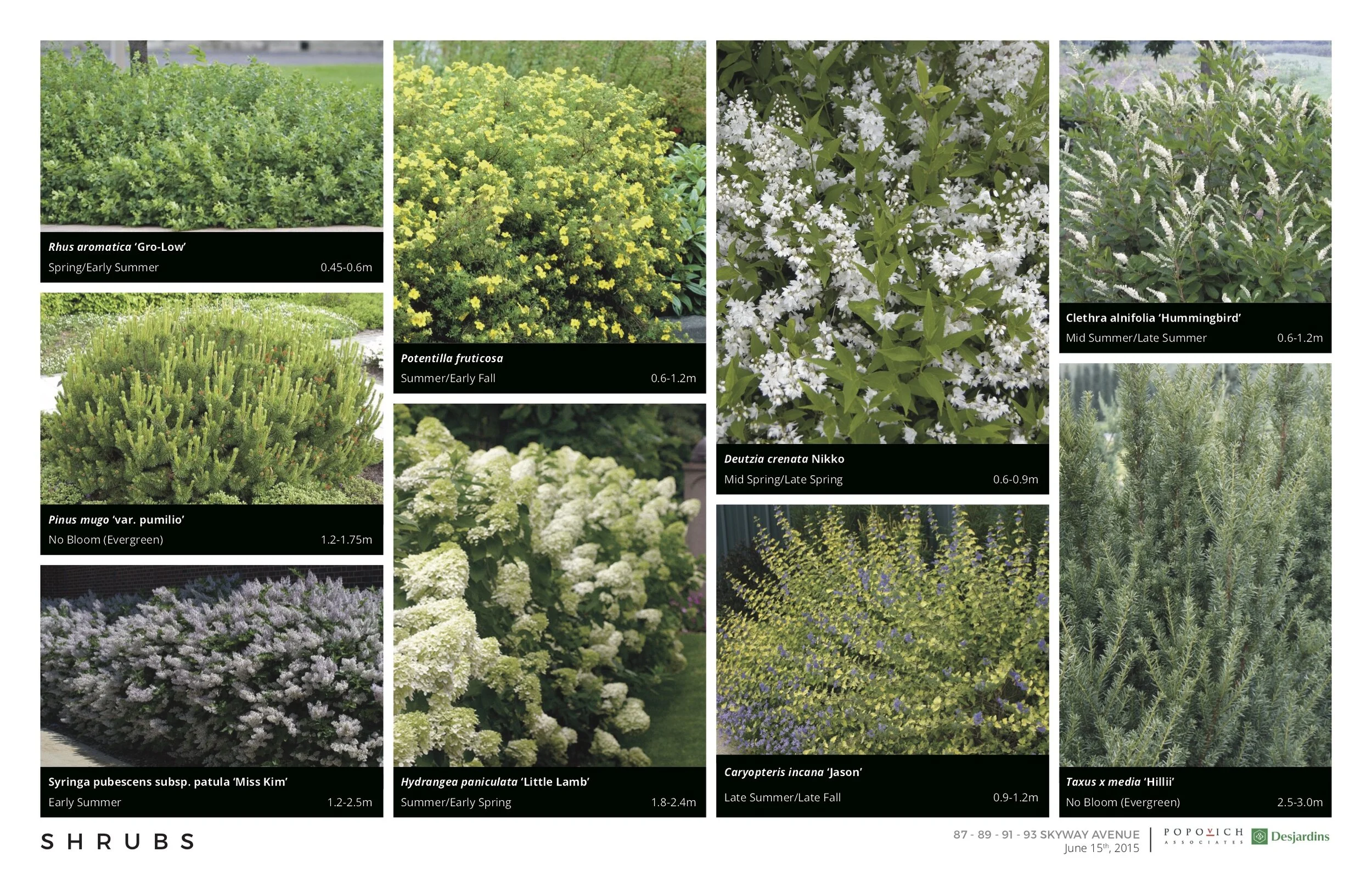 1247 160615 Master Planting + Design Palette5.jpg