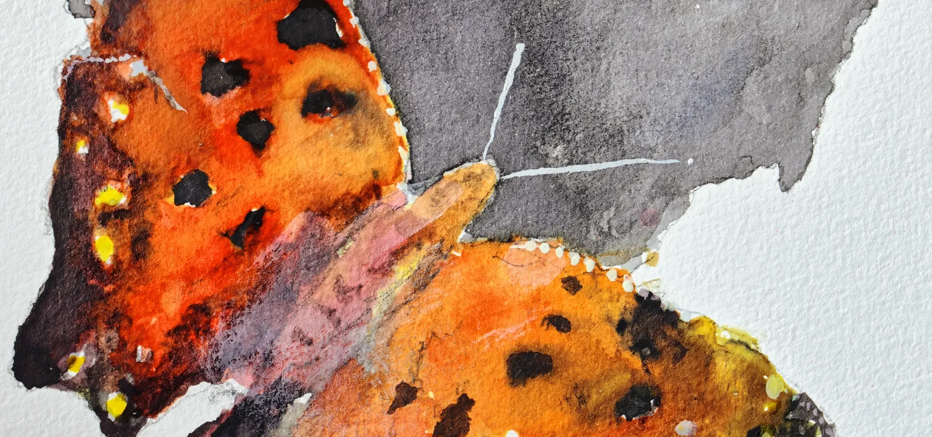 Metamorphosen - IJ-Salon