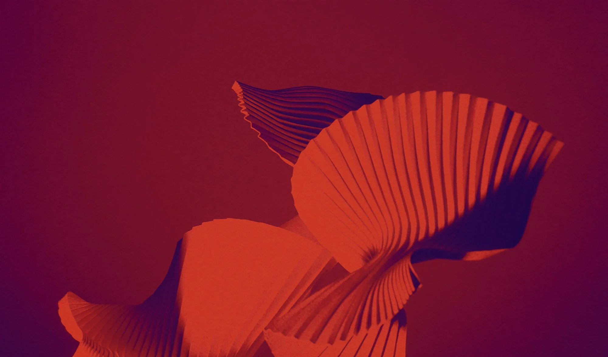 Hear & Now Festival Amsterdam