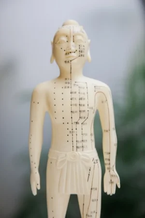 A tradition-style figurine, showing the pathways of the various meridians used in acupuncture.