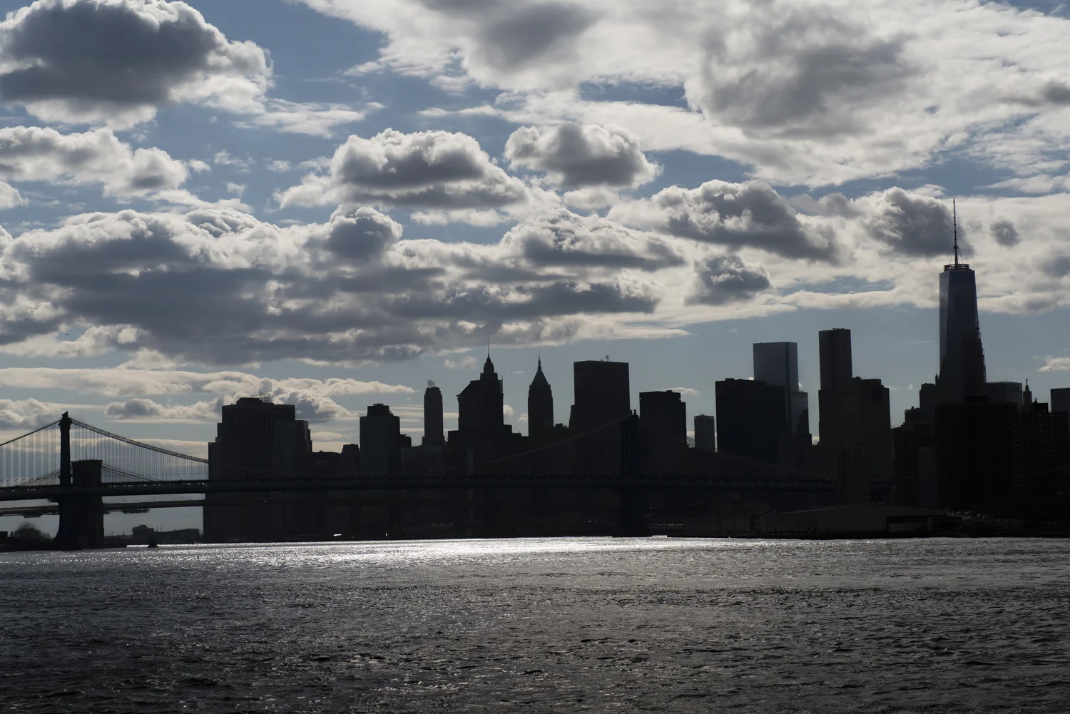 Lower Manhattan in sillhouette