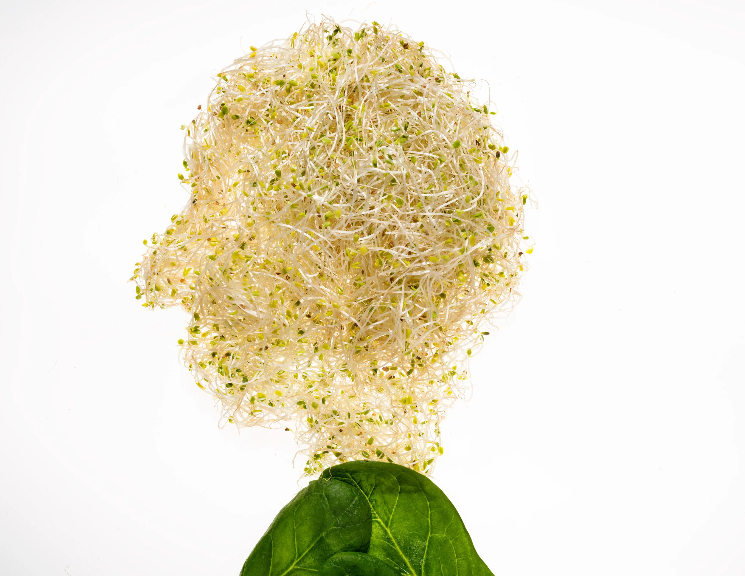    
  
 Normal 
 0 
 
 
 
 
 false 
 false 
 false 
 
 EN-US 
 X-NONE 
 X-NONE 
 
  
  
  
  
  
  
  
  
  
  
  
 
 MicrosoftInternetExplorer4 
 
  
  
  
  
  
  
  
  
  
  
  
  
         
  
 
 
 
 
 
 
 
 
 
 
 
 
 
 
 
 
 
 
 
 
 
 
 
 
 
 
 