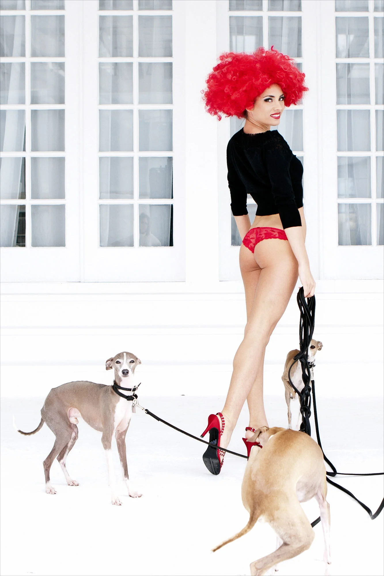 Doggie2.jpg
