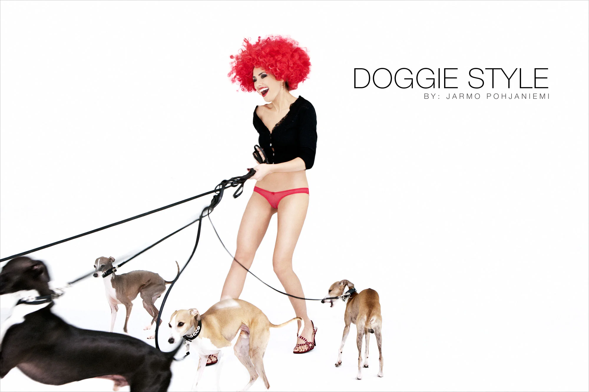 Doggie1.jpg
