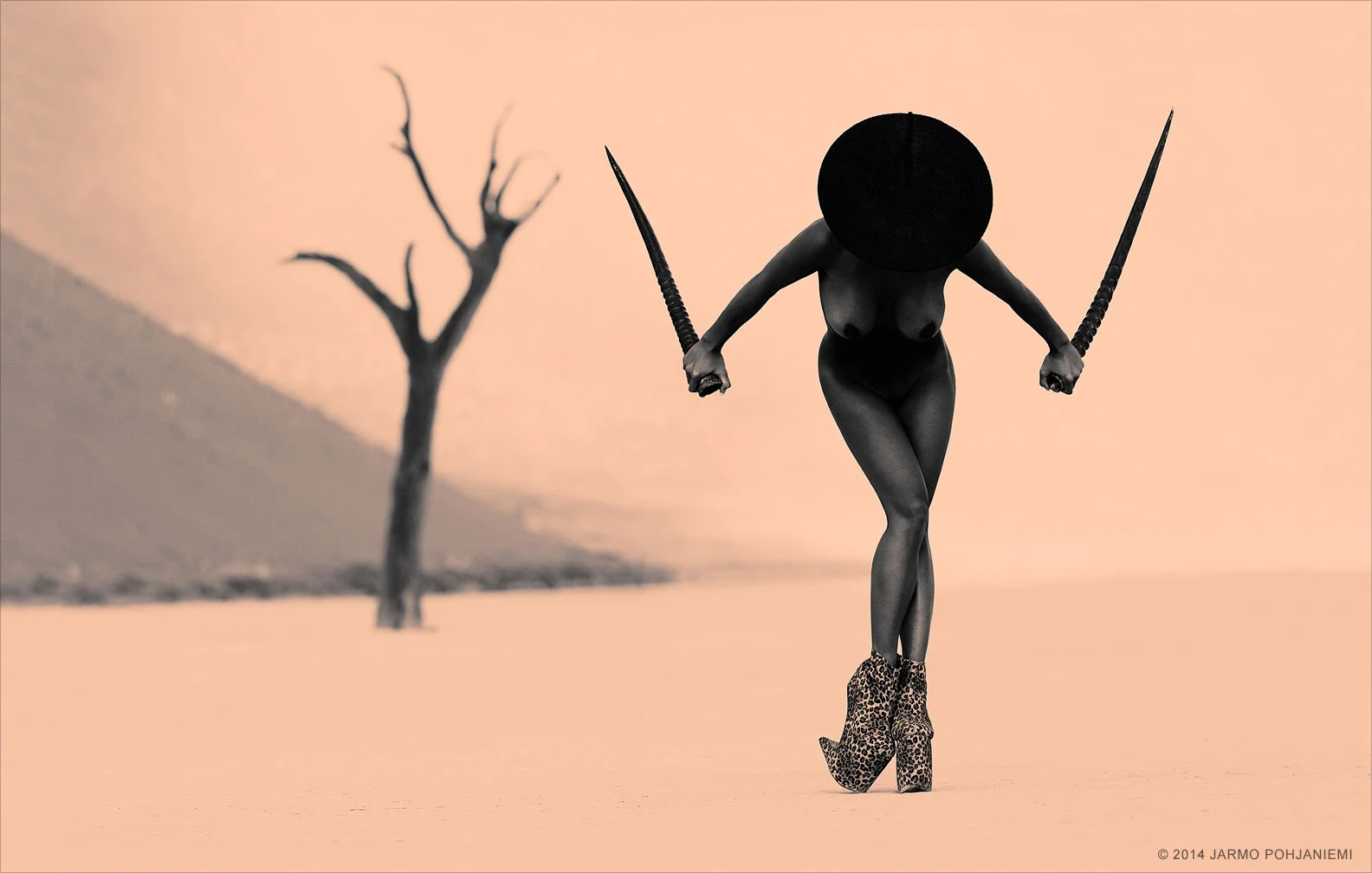 Silhuette-Antilope.jpg