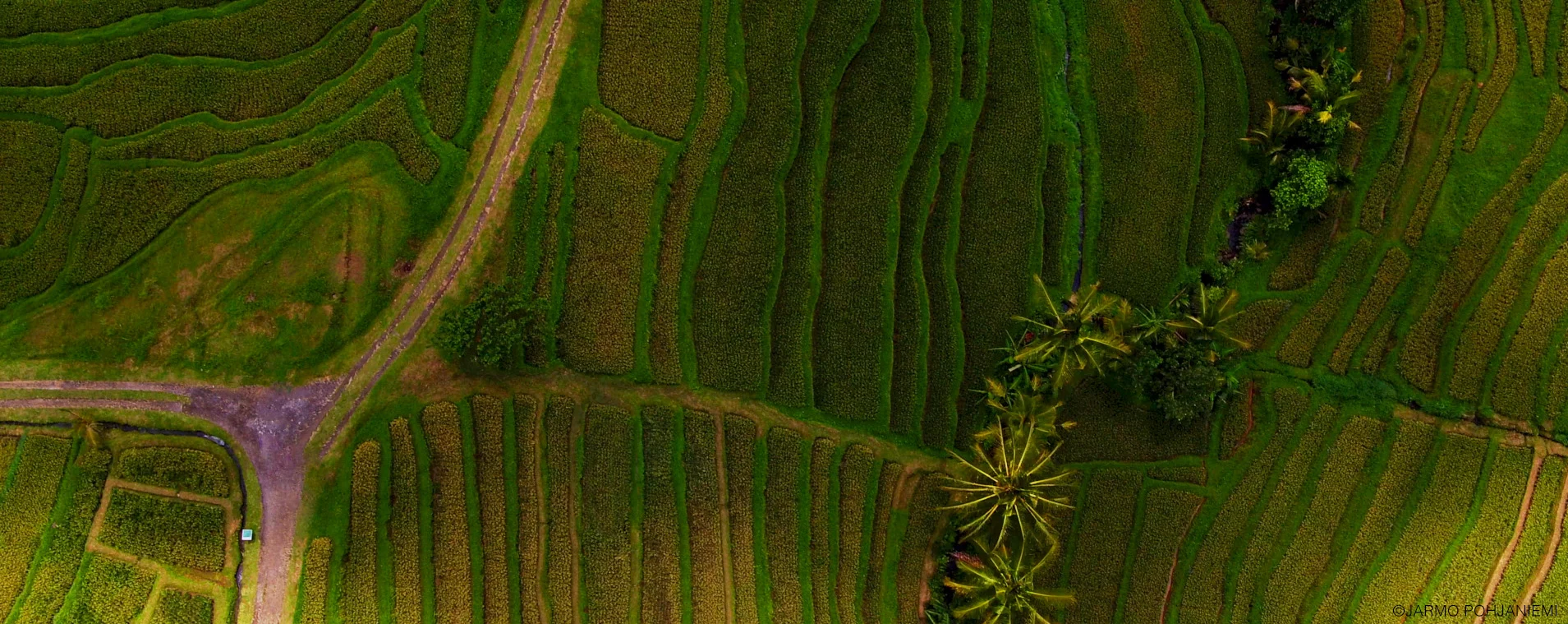 Bali-2017.jpg