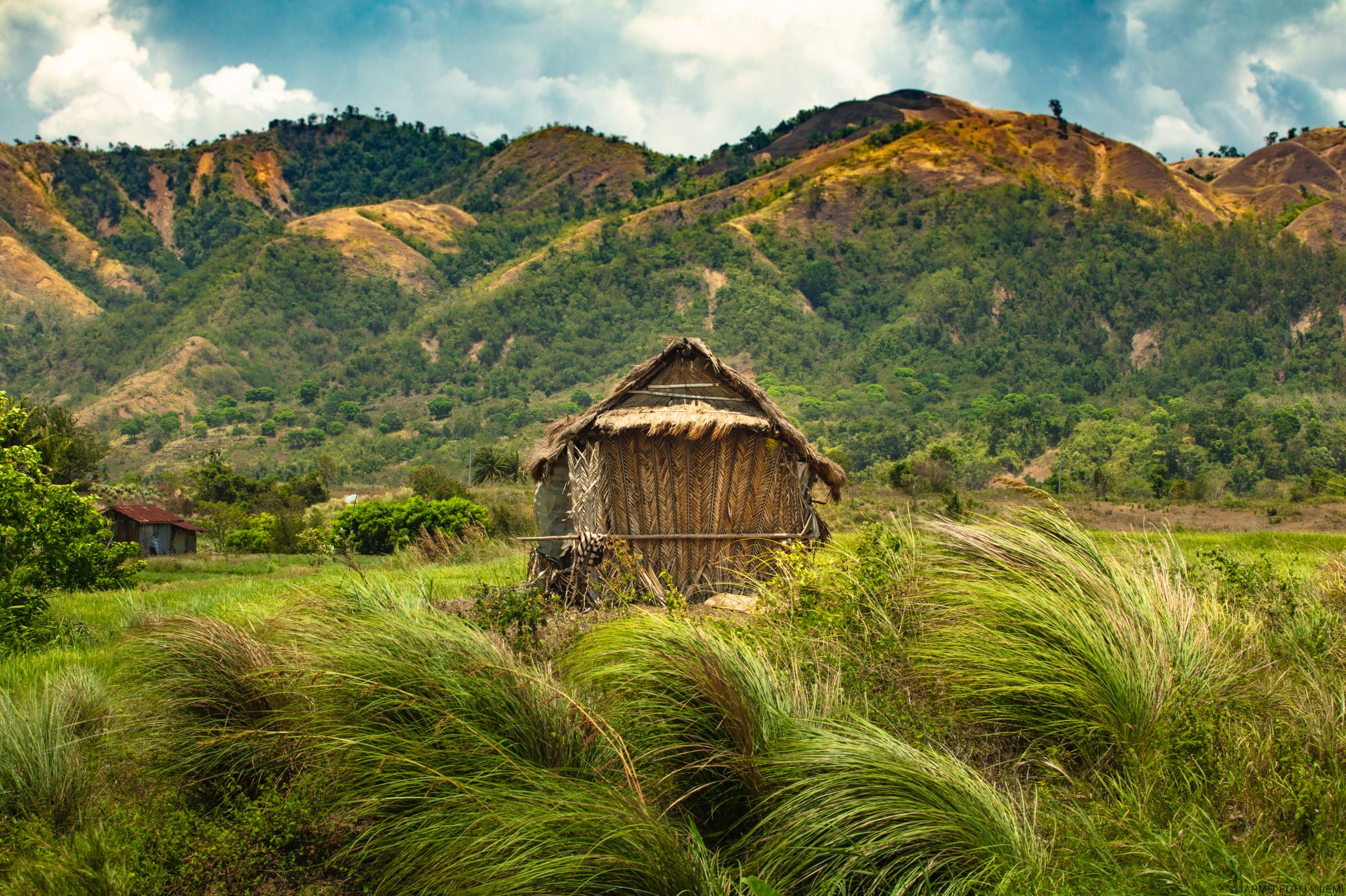Hut-Philippines.jpg