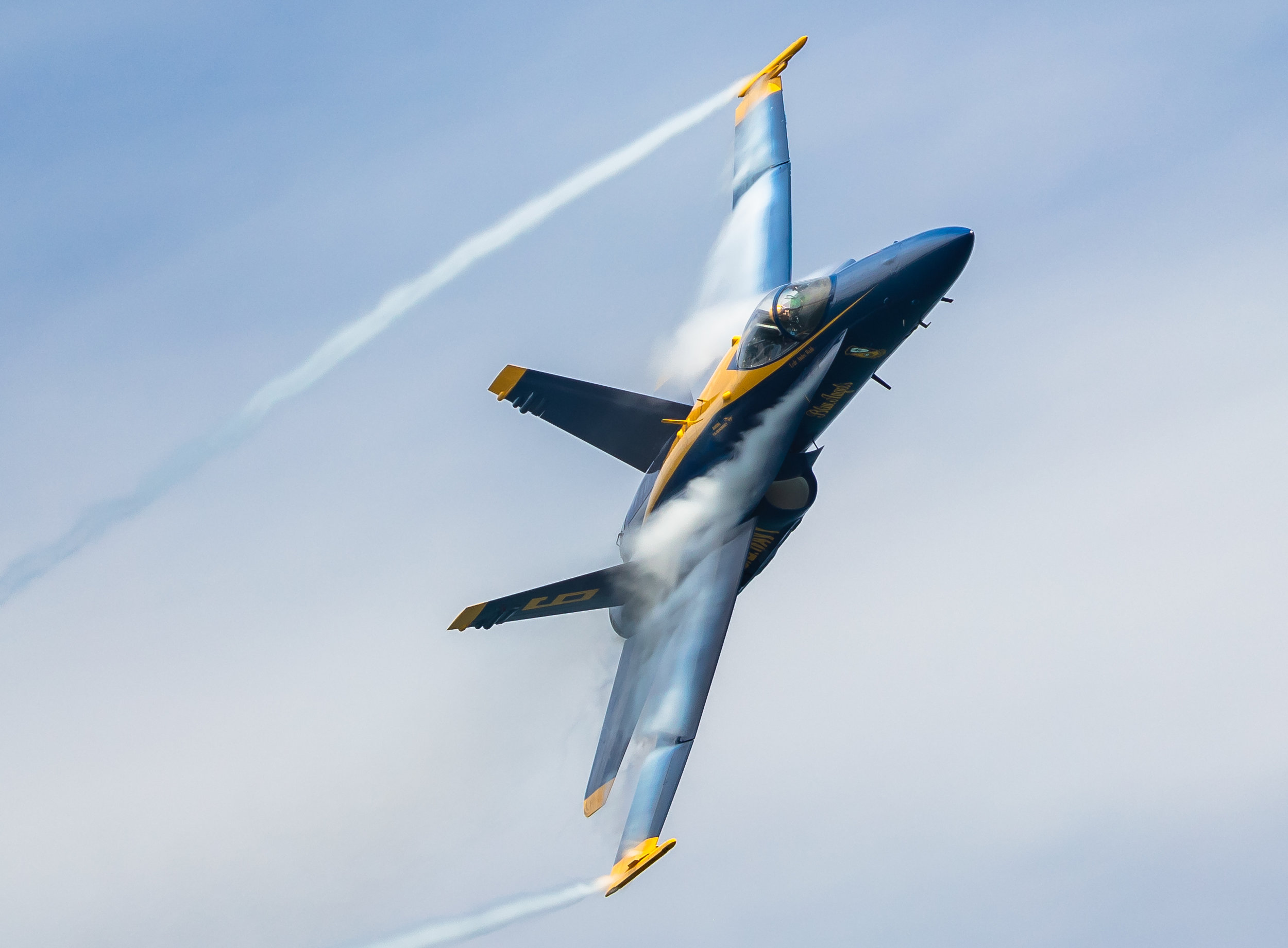 Hornet-closeup.jpg