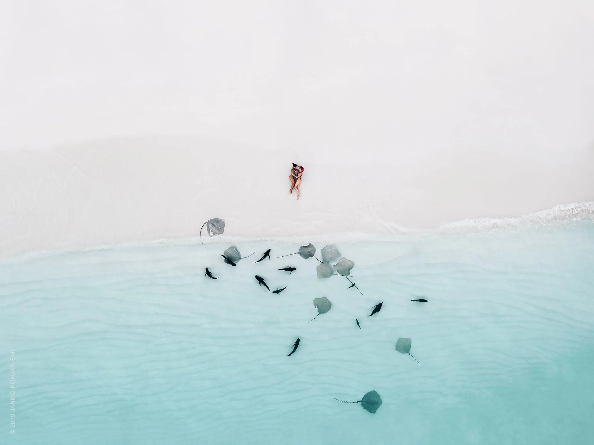 Maldives-fishes-©2019-JARMO-POHJANIEMI.jpg