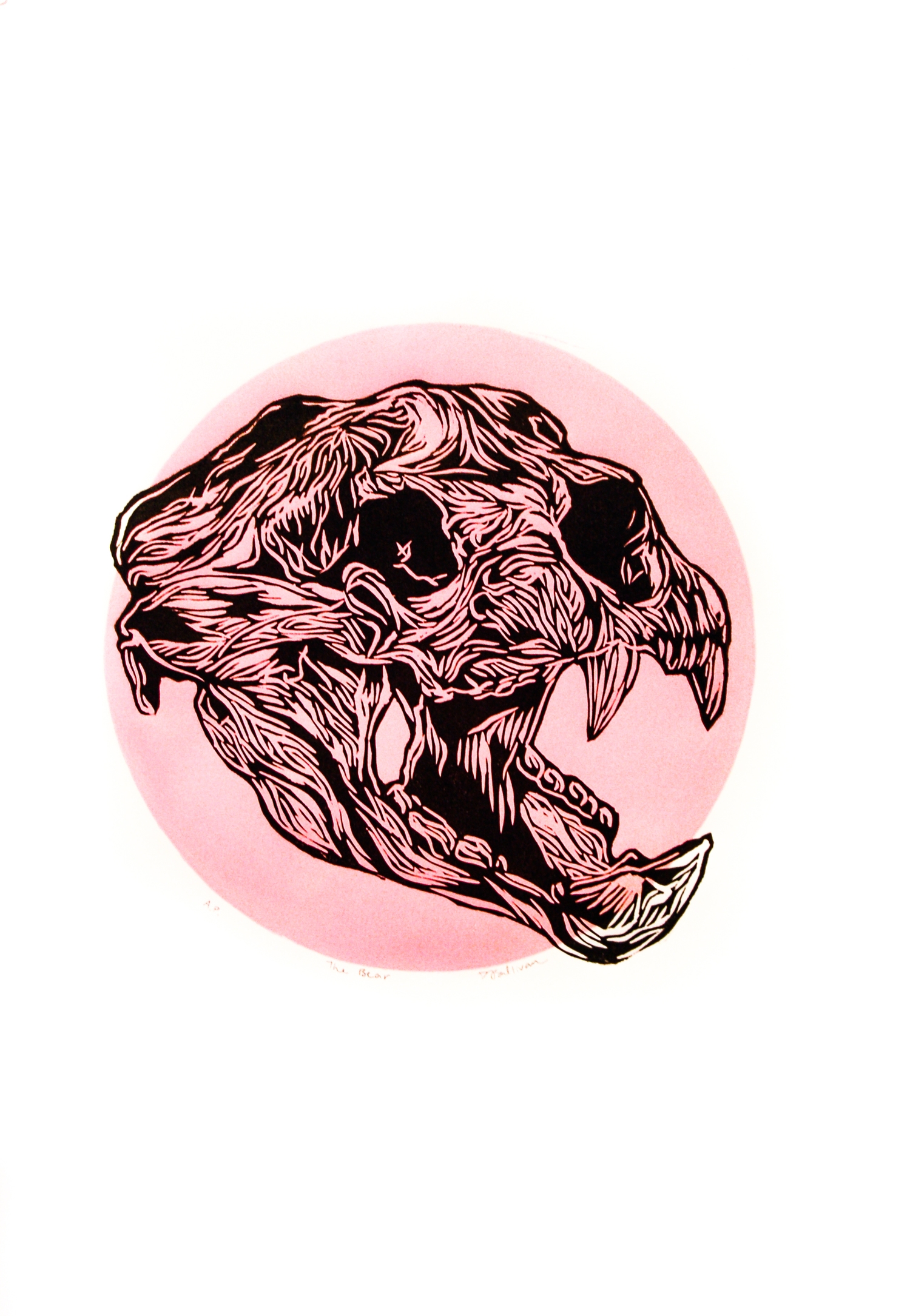The Bear