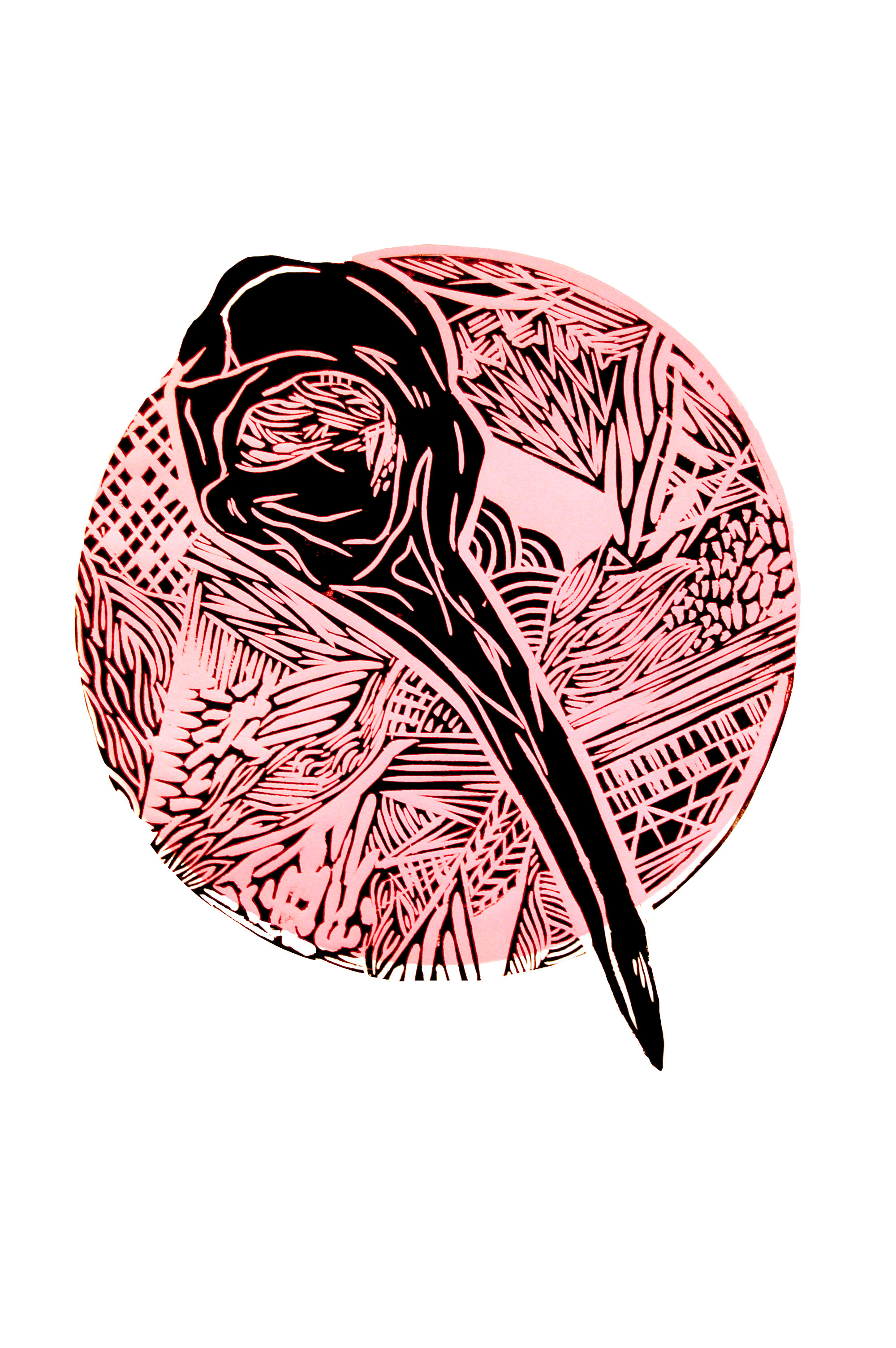 The Hummingbird