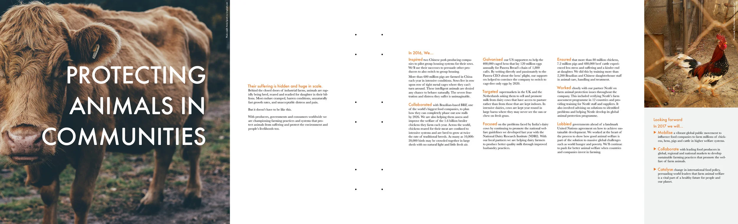 Move the World 2016 – Page 12-13