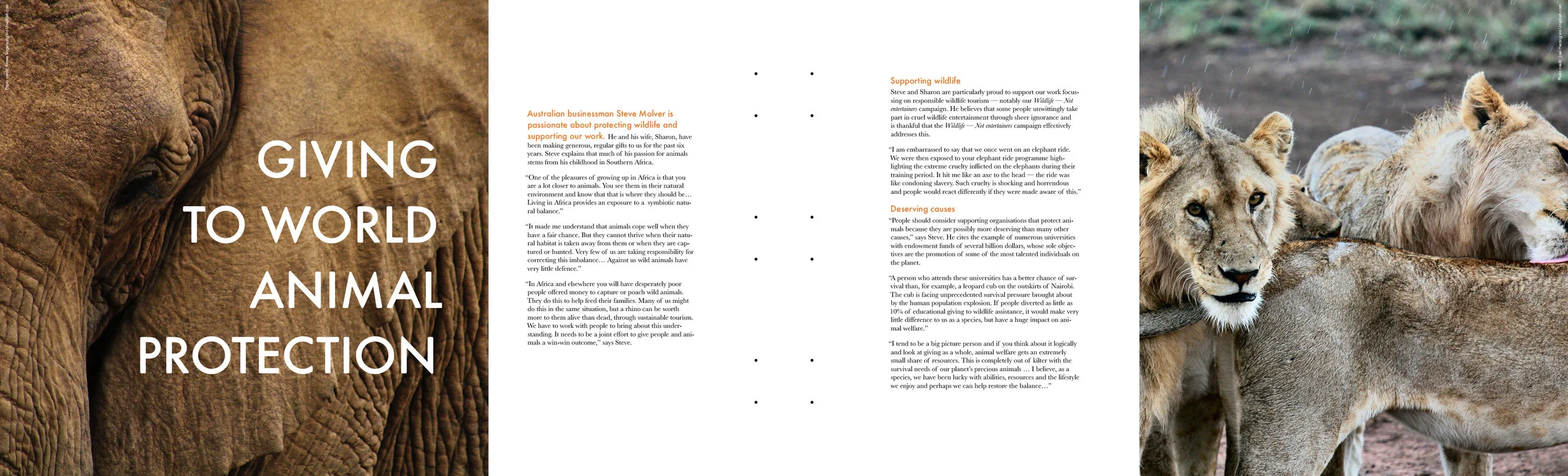 Move the World 2016 – Page 16-17
