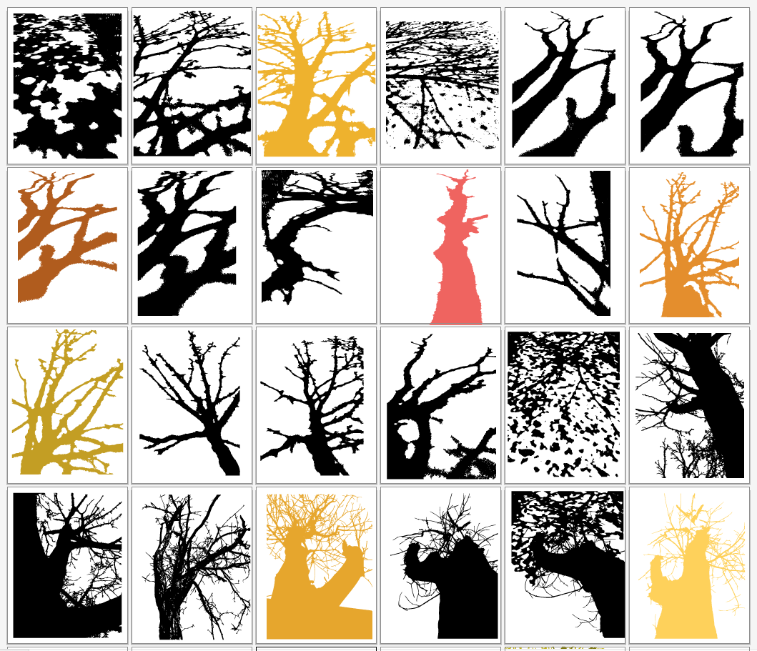 4. Digital color studies of my own photos