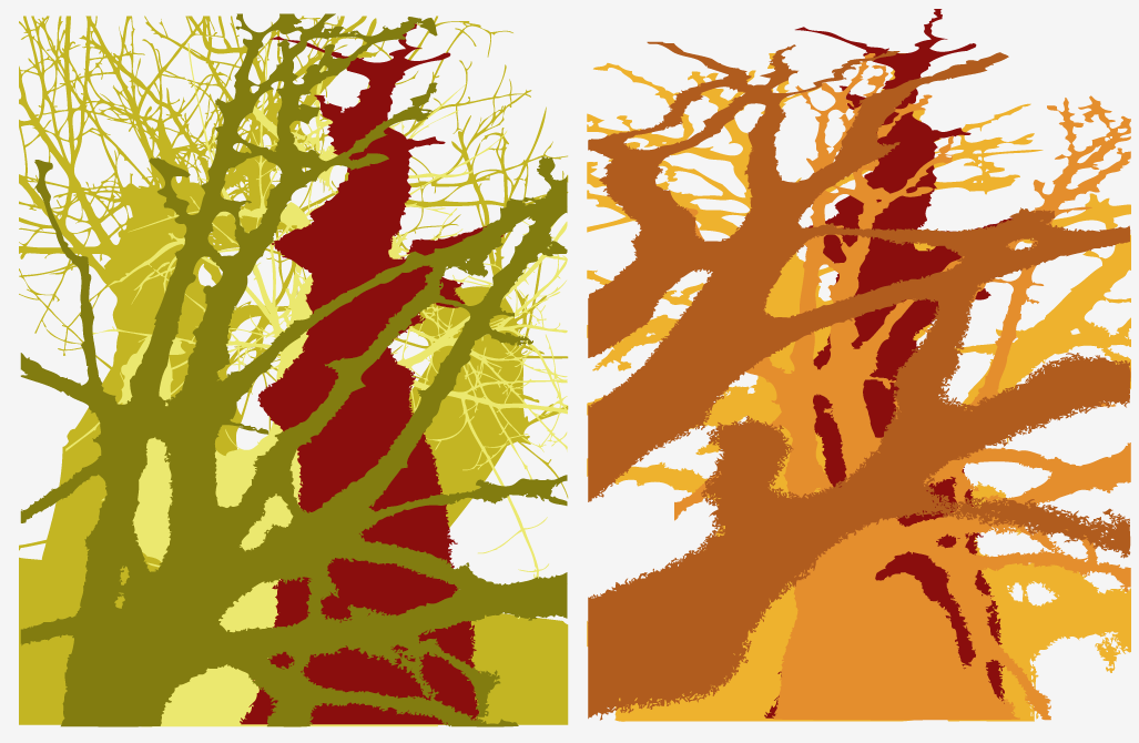 6. Digital layered color studies of my own photos